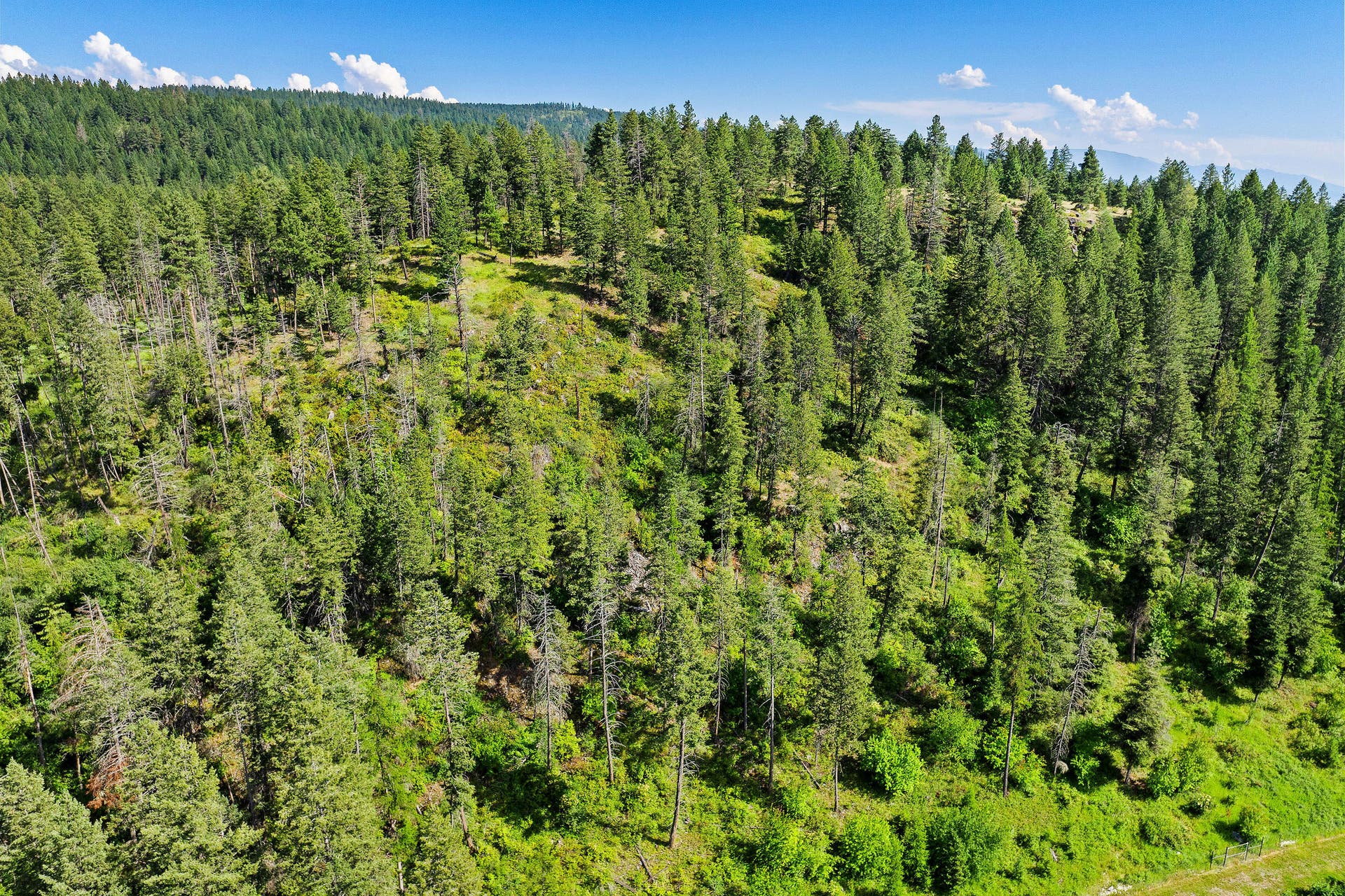 338 Flathead Lodge Road, Bigfork, MT 59911 338 Flathead Lodge Road, Bigfork, MT 59911