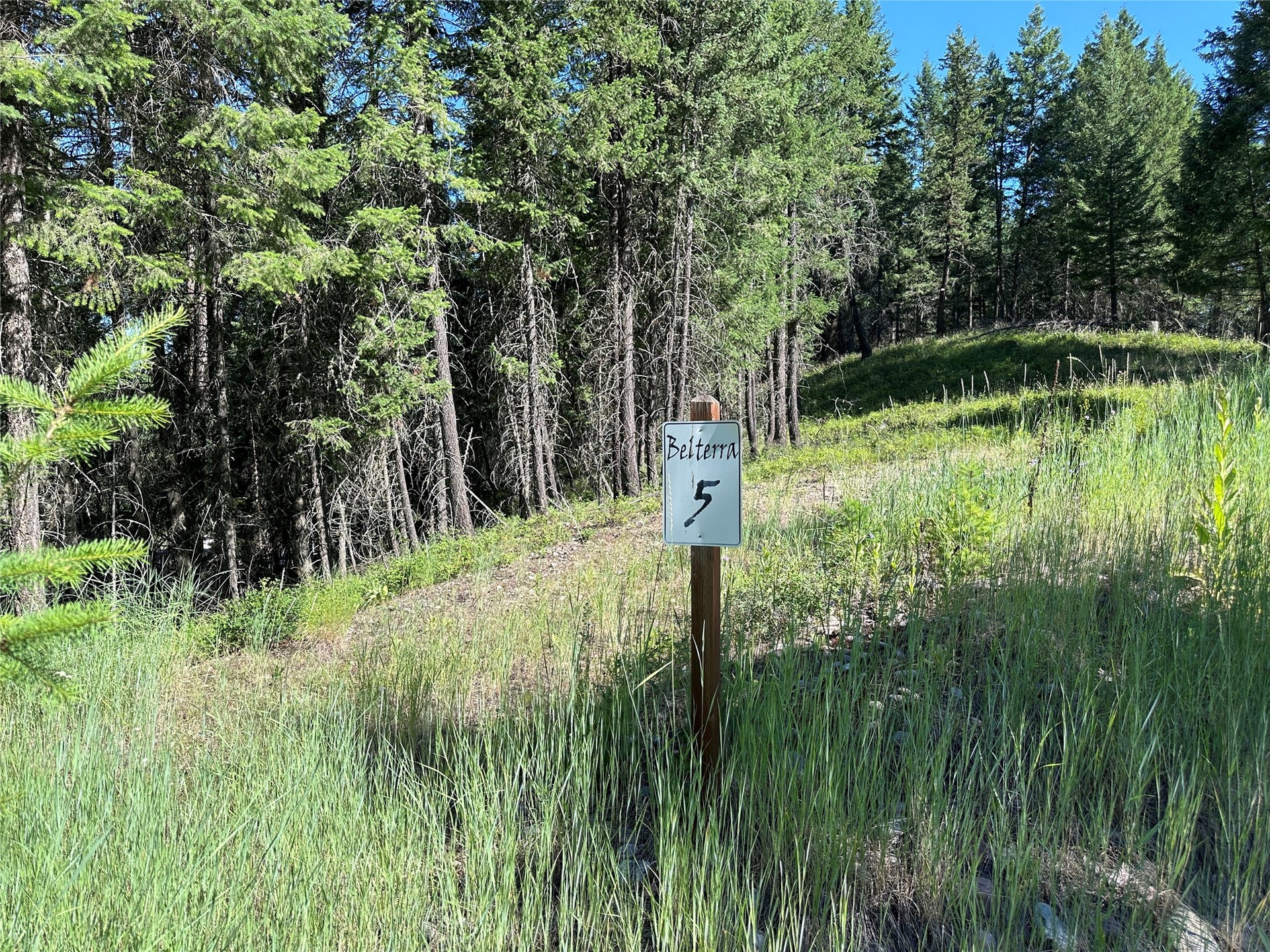 196 Belterra Lane, Bigfork, MT 59911 196 Belterra Lane, Bigfork, MT 59911