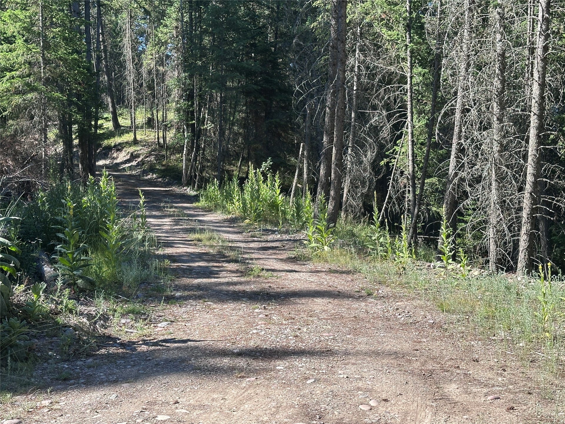 196 Belterra Lane, Bigfork, MT 59911 196 Belterra Lane, Bigfork, MT 59911