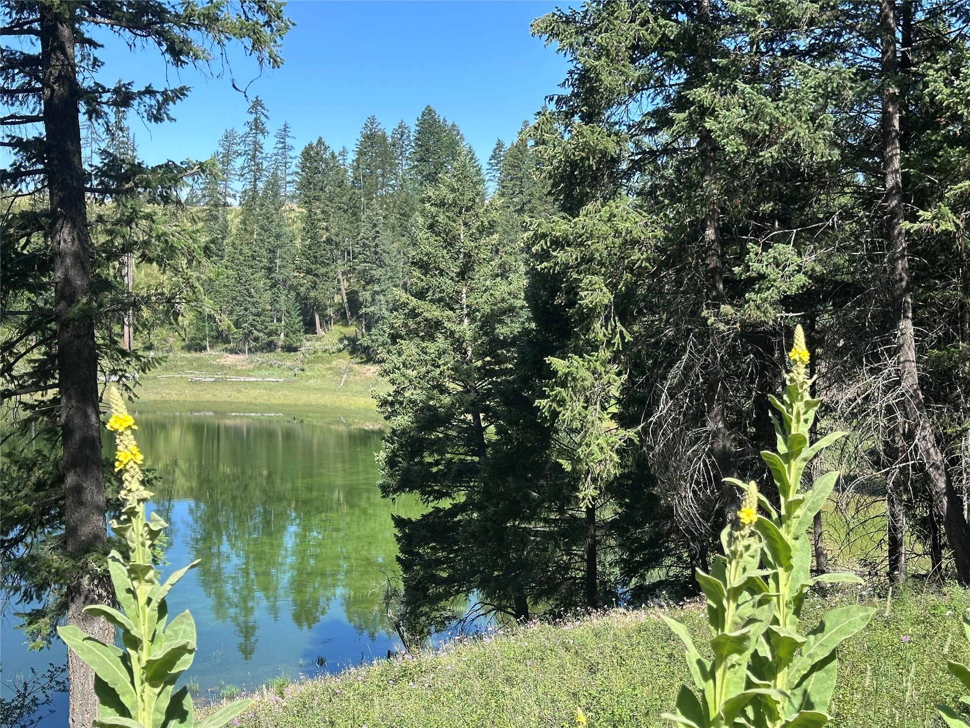 196 Belterra Lane, Bigfork, MT 59911 196 Belterra Lane, Bigfork, MT 59911