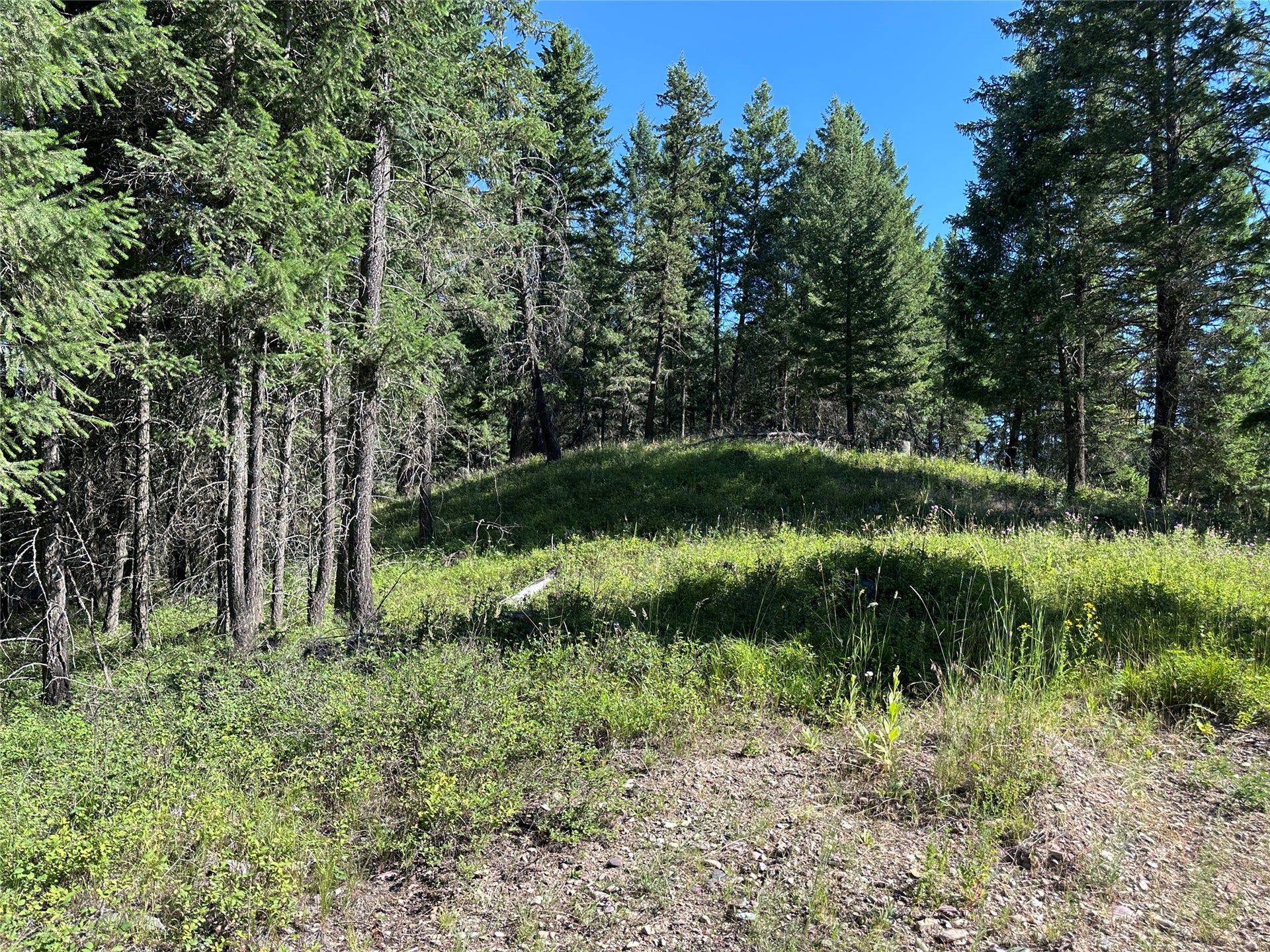 196 Belterra Lane, Bigfork, MT 59911 196 Belterra Lane, Bigfork, MT 59911
