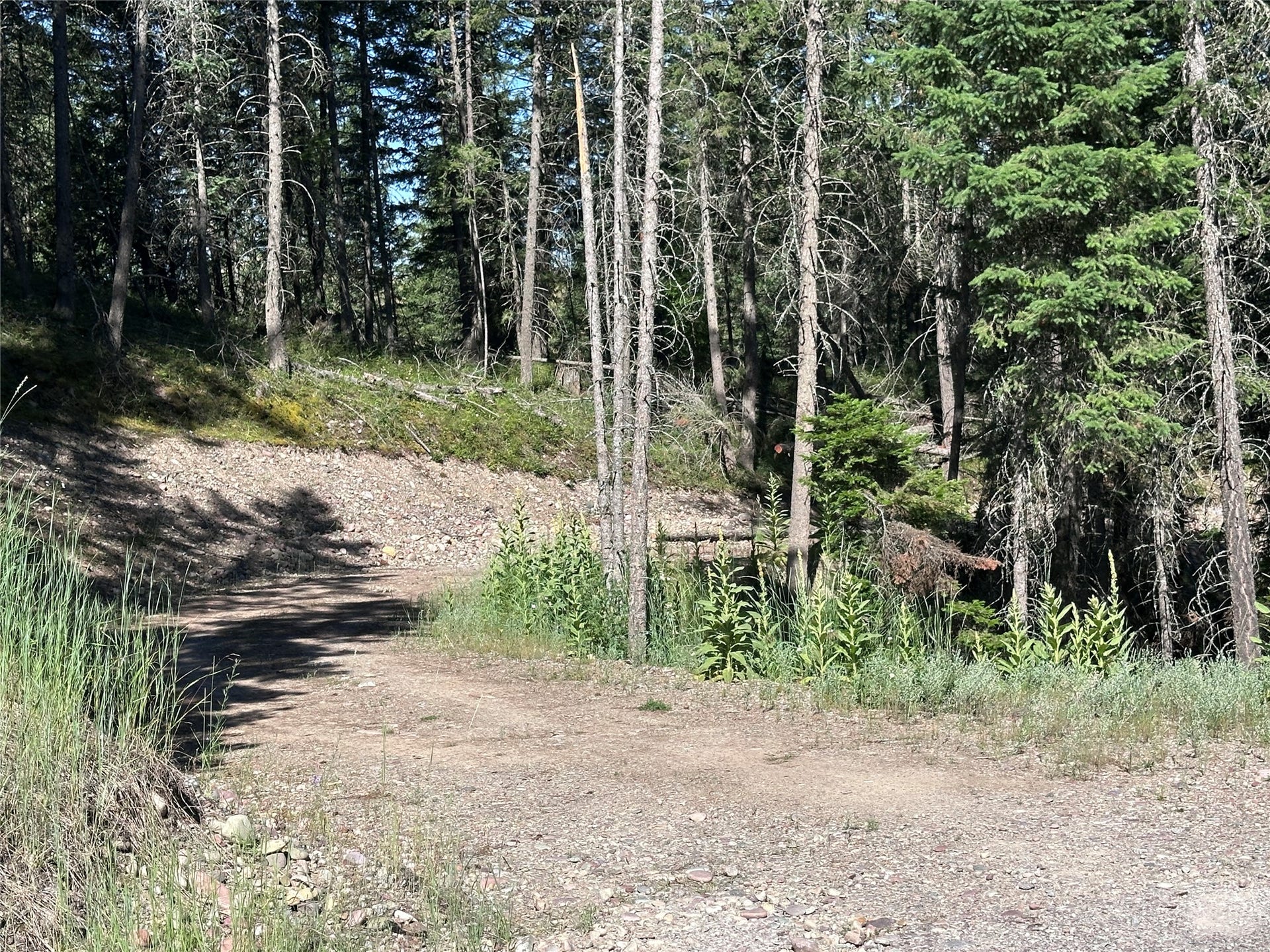 196 Belterra Lane, Bigfork, MT 59911 196 Belterra Lane, Bigfork, MT 59911