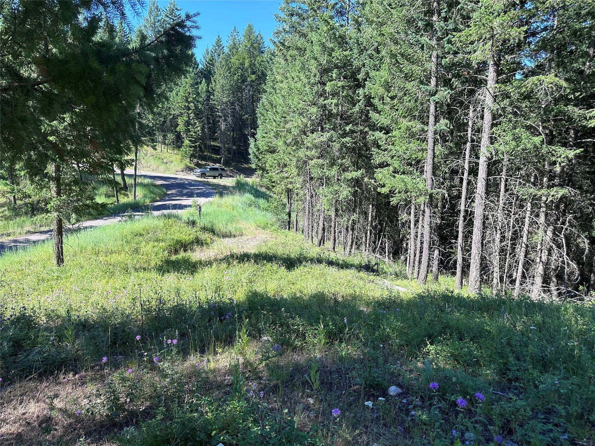 196 Belterra Lane, Bigfork, MT 59911 196 Belterra Lane, Bigfork, MT 59911