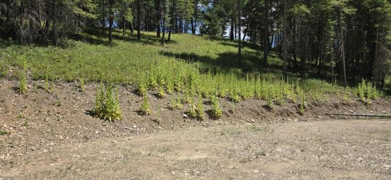 196 Belterra Lane, Bigfork, MT 59911 196 Belterra Lane, Bigfork, MT 59911