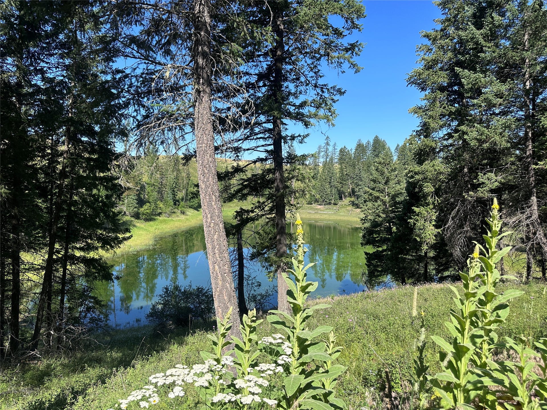 196 Belterra Lane, Bigfork, MT 59911 196 Belterra Lane, Bigfork, MT 59911