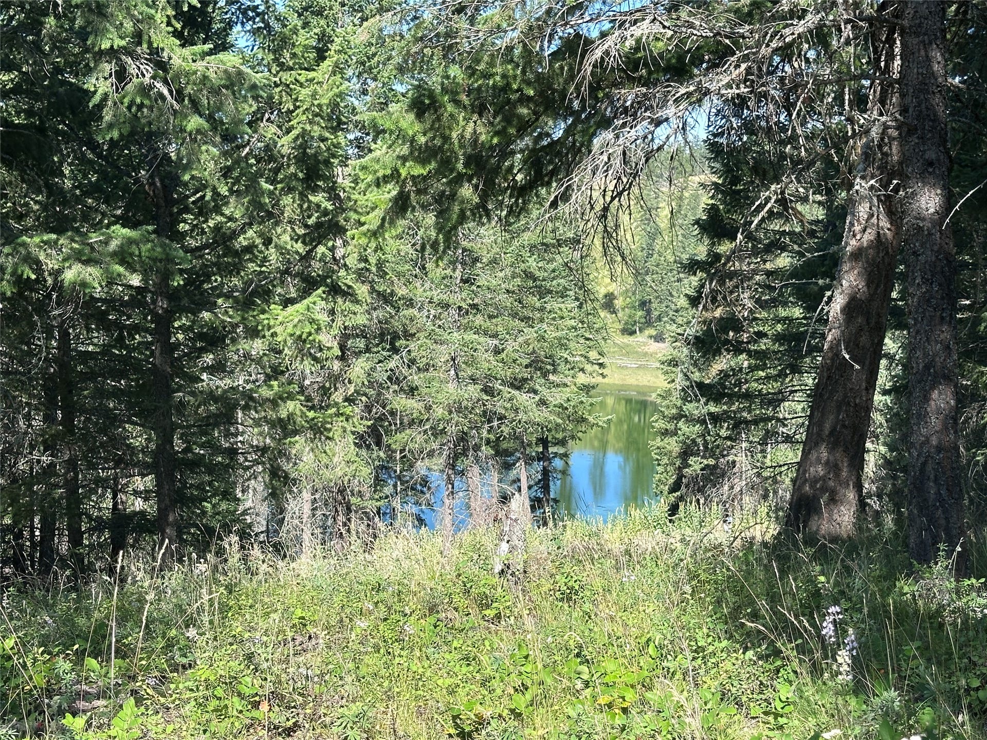 196 Belterra Lane, Bigfork, MT 59911 196 Belterra Lane, Bigfork, MT 59911