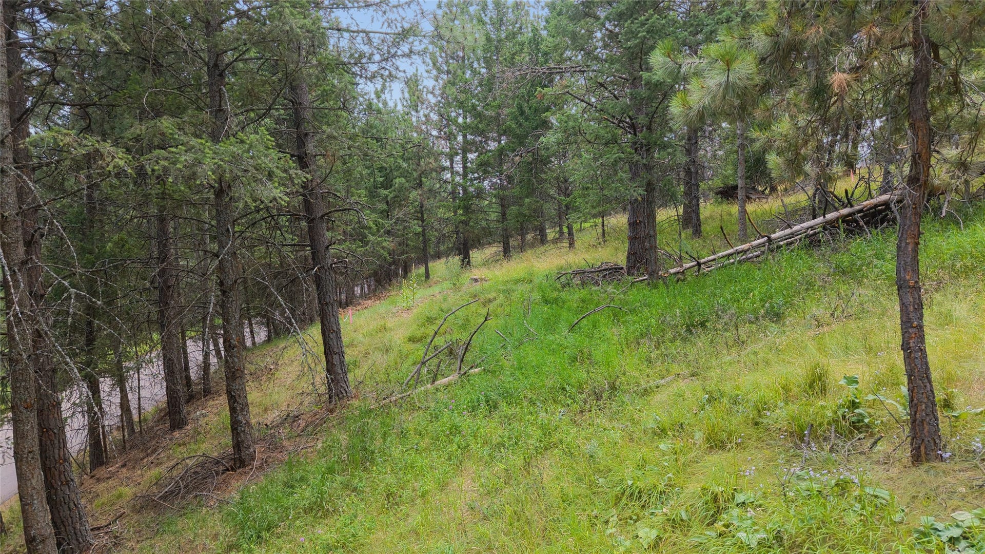 435 Windsor Drive, Bigfork, MT 59911 435 Windsor Drive, Bigfork, MT 59911