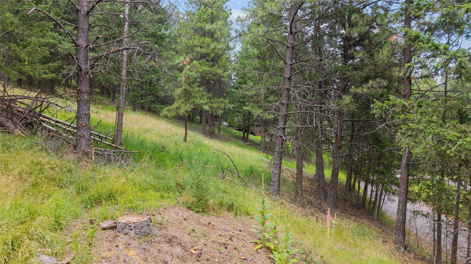 435 Windsor Drive, Bigfork, MT 59911 435 Windsor Drive, Bigfork, MT 59911