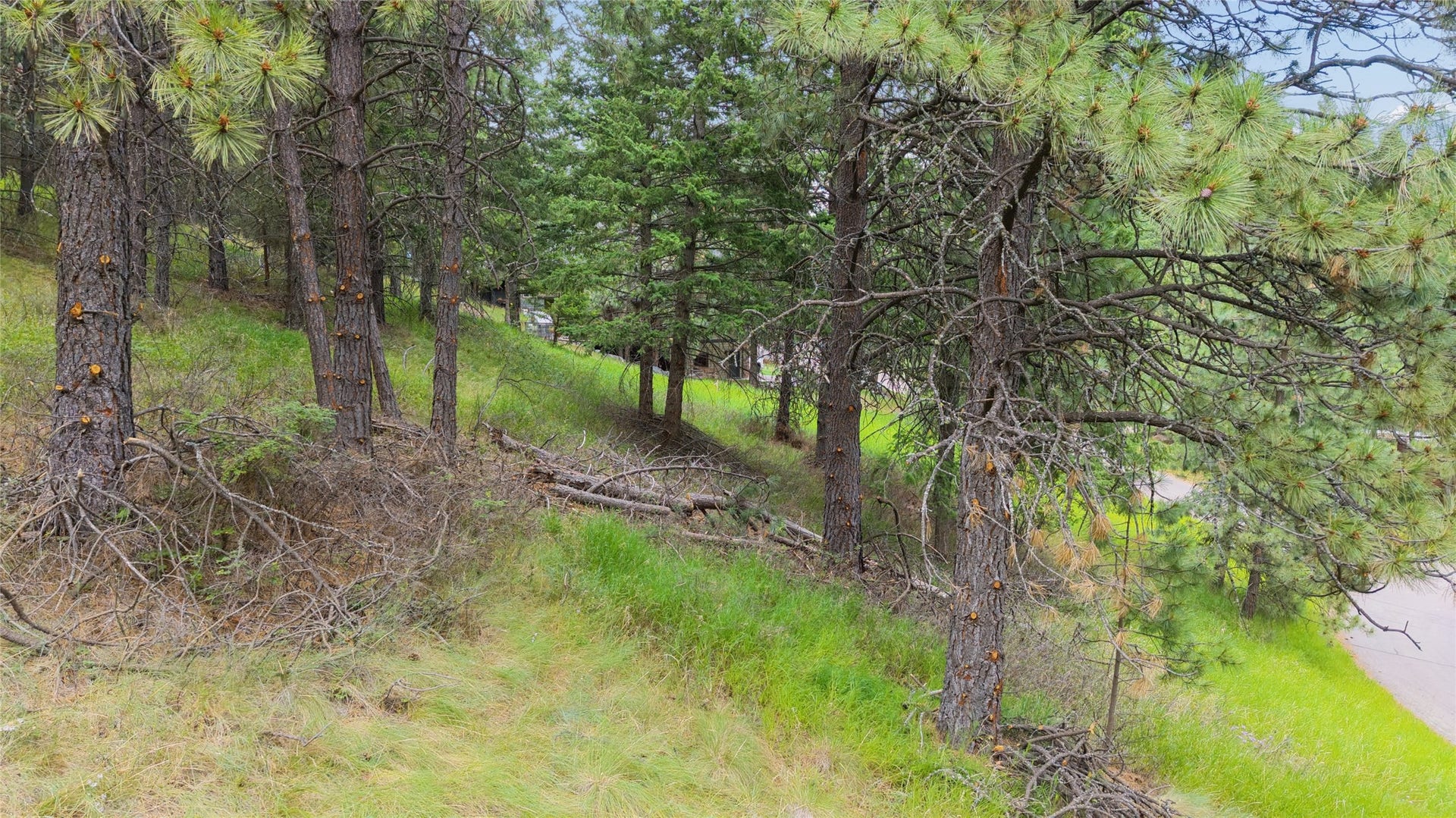 435 Windsor Drive, Bigfork, MT 59911 435 Windsor Drive, Bigfork, MT 59911