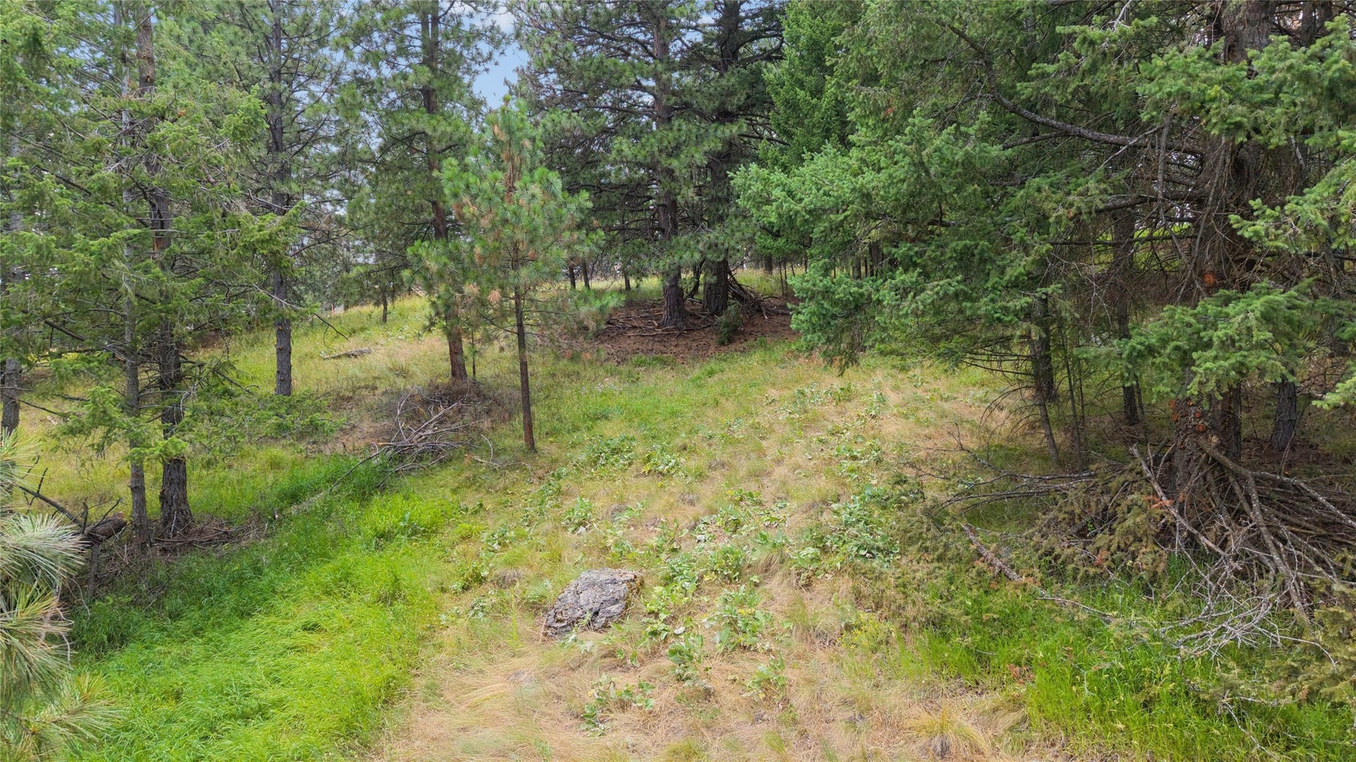 435 Windsor Drive, Bigfork, MT 59911 435 Windsor Drive, Bigfork, MT 59911