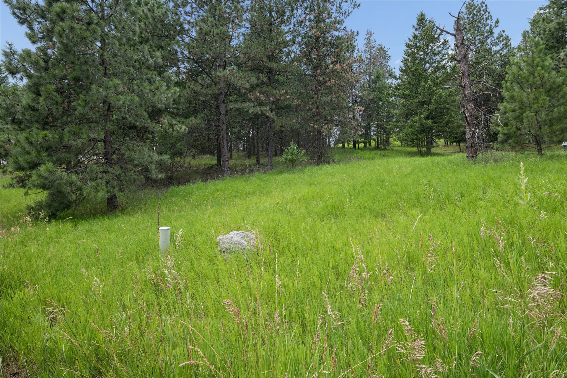 435 Windsor Drive, Bigfork, MT 59911 435 Windsor Drive, Bigfork, MT 59911