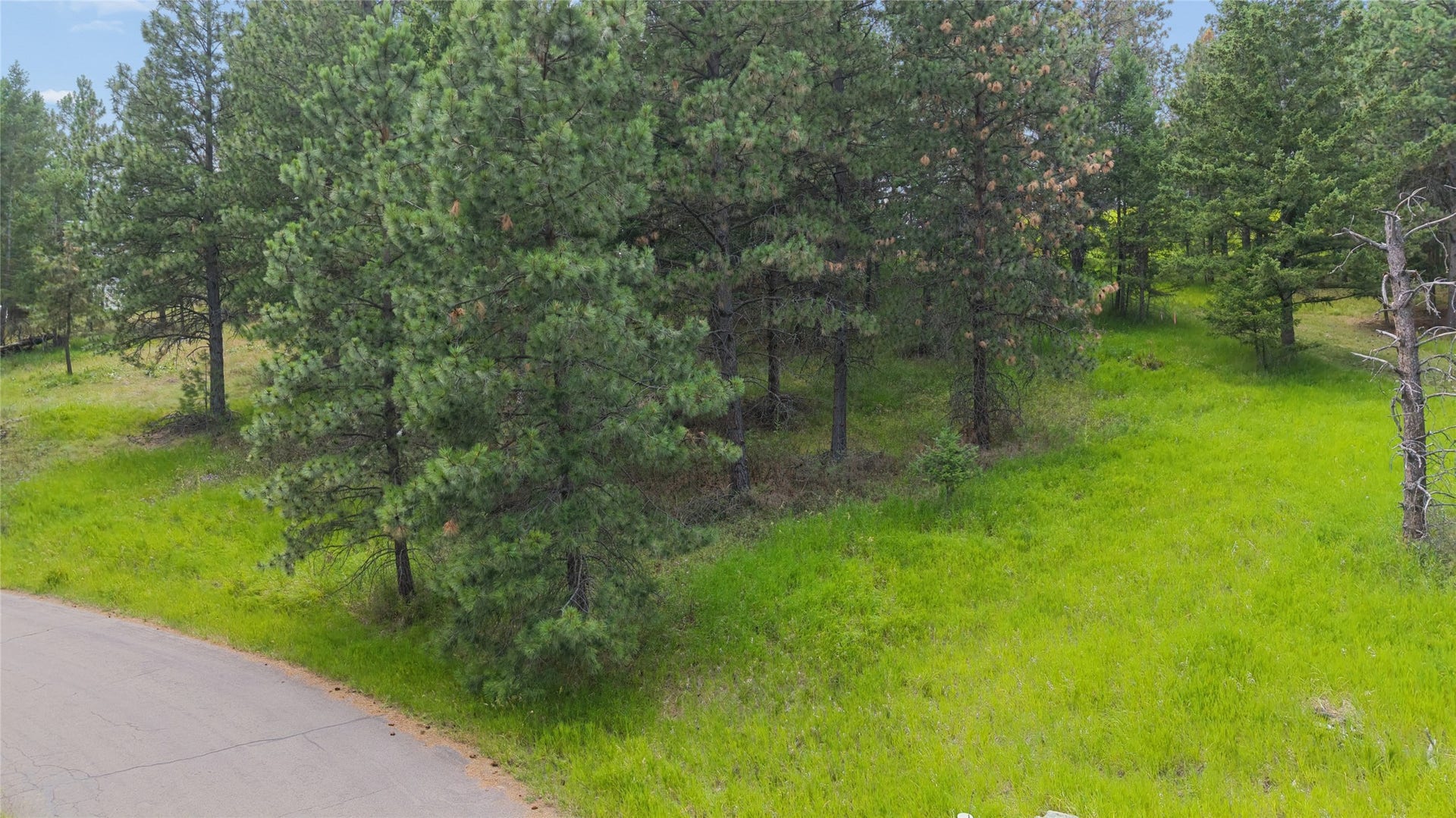 435 Windsor Drive, Bigfork, MT 59911 435 Windsor Drive, Bigfork, MT 59911