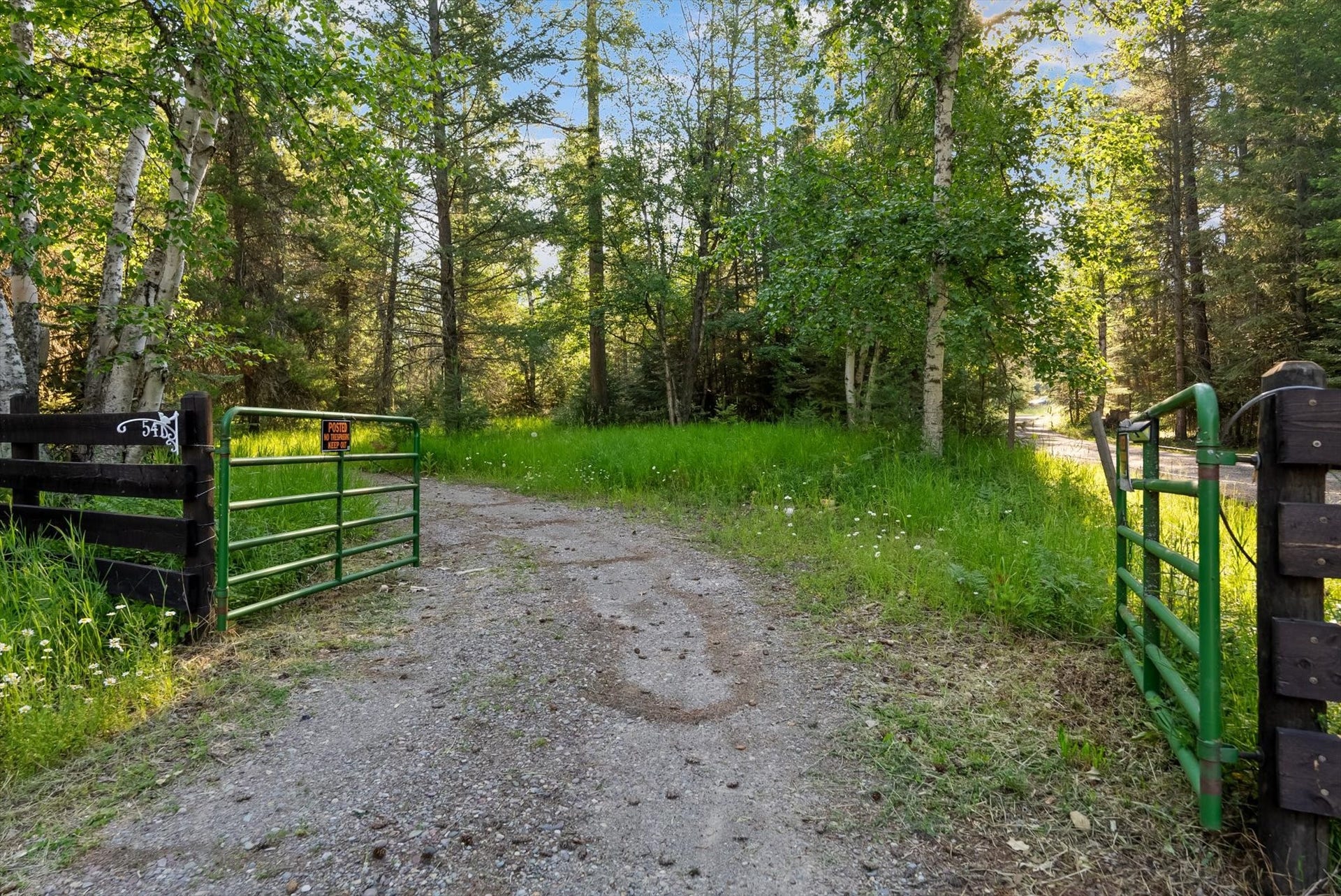 541 Alpine Drive, Bigfork, MT 59911 541 Alpine Drive, Bigfork, MT 59911