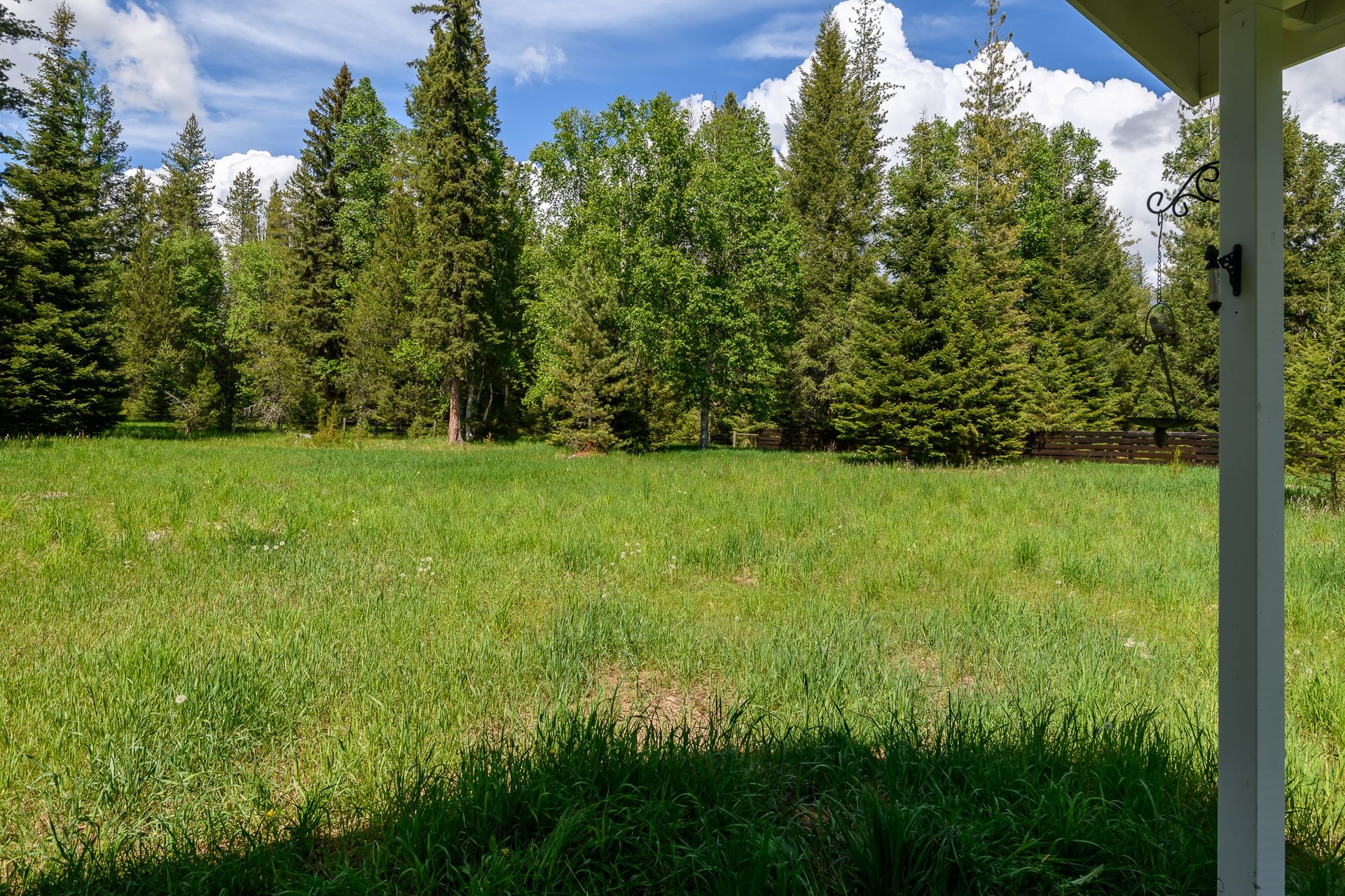 541 Alpine Drive, Bigfork, MT 59911 Lots of Meadow