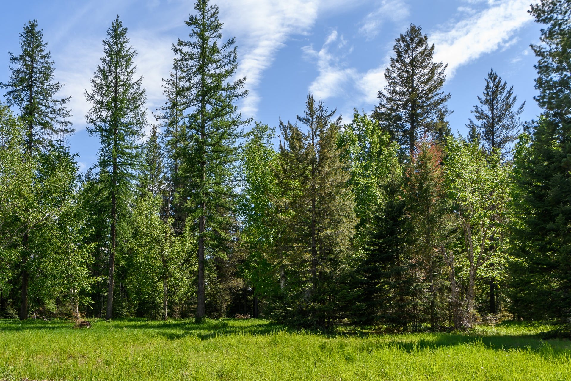 541 Alpine Drive, Bigfork, MT 59911 541 Alpine Drive, Bigfork, MT 59911