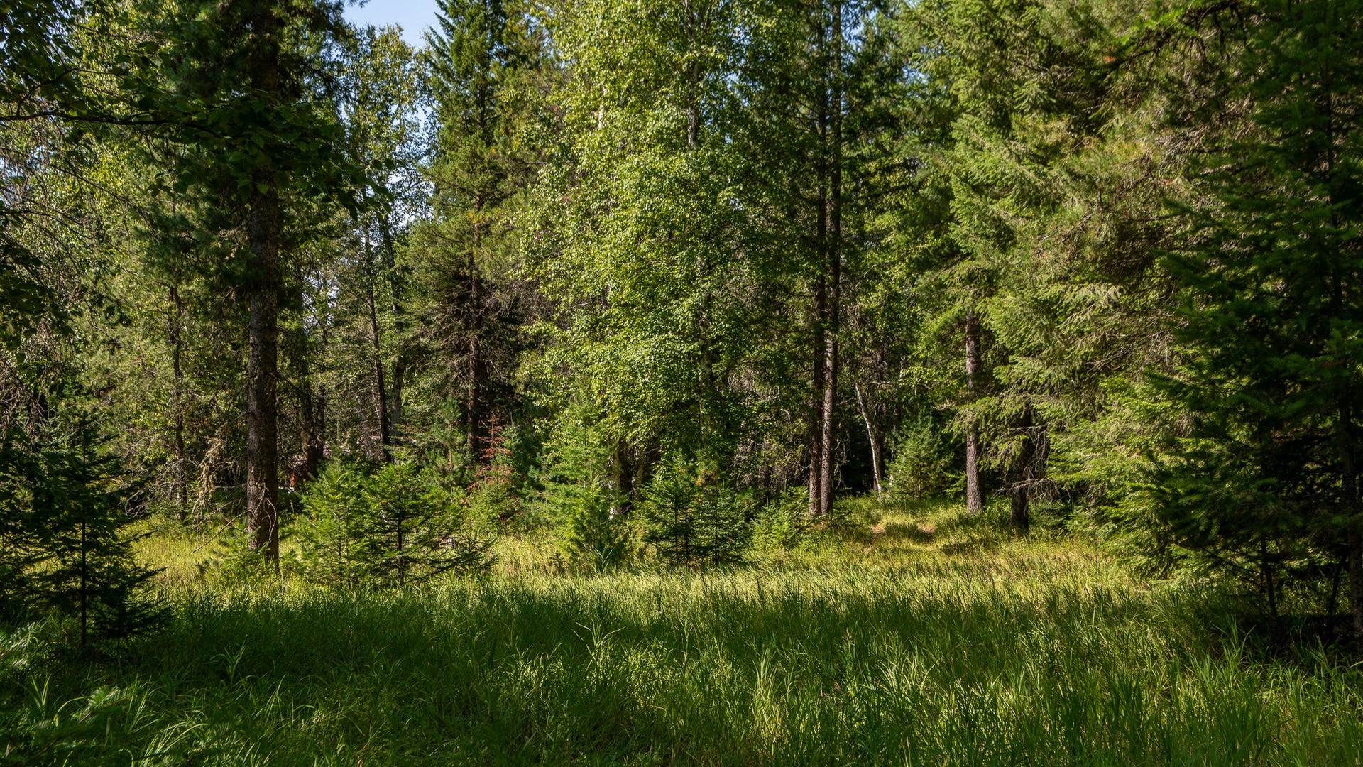 541 Alpine Drive, Bigfork, MT 59911 541 Alpine Drive, Bigfork, MT 59911