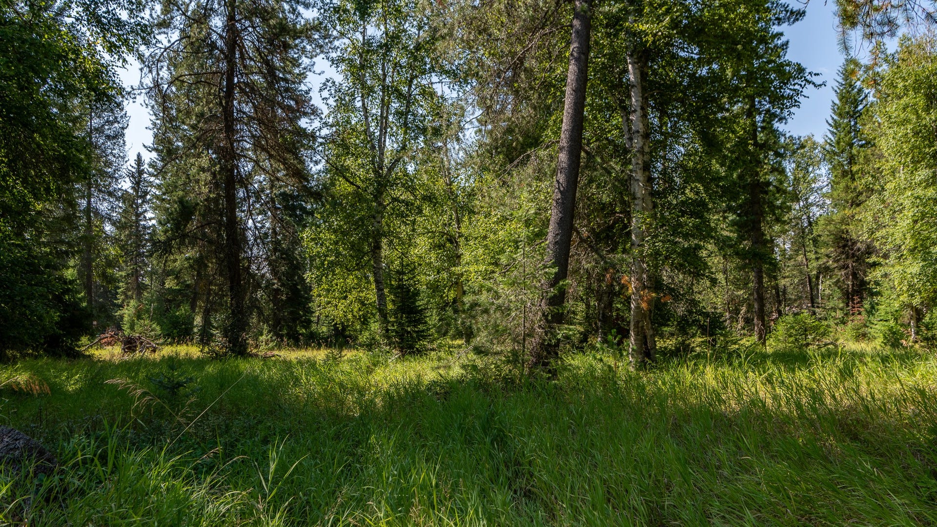 541 Alpine Drive, Bigfork, MT 59911 541 Alpine Drive, Bigfork, MT 59911
