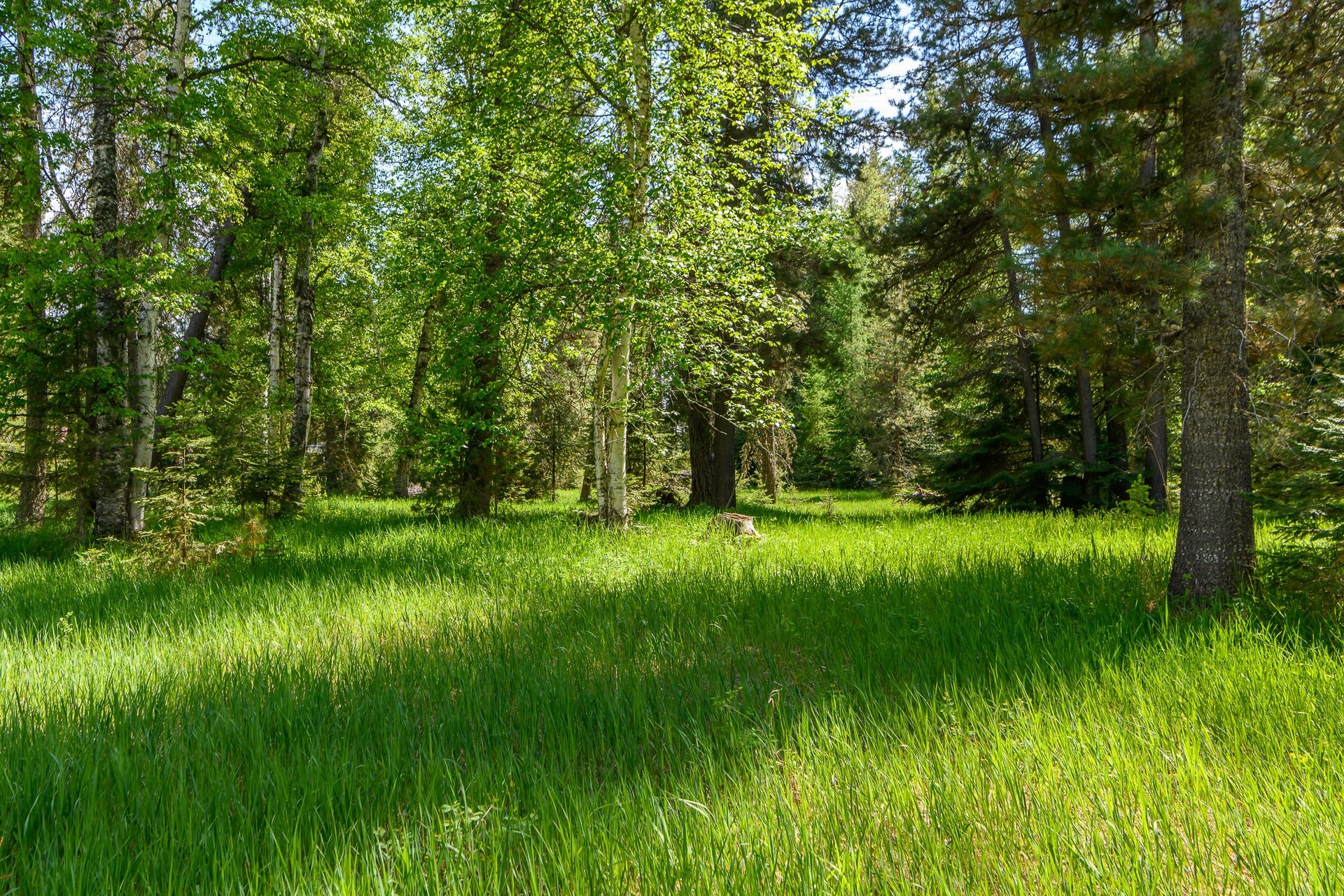 541 Alpine Drive, Bigfork, MT 59911 541 Alpine Drive, Bigfork, MT 59911