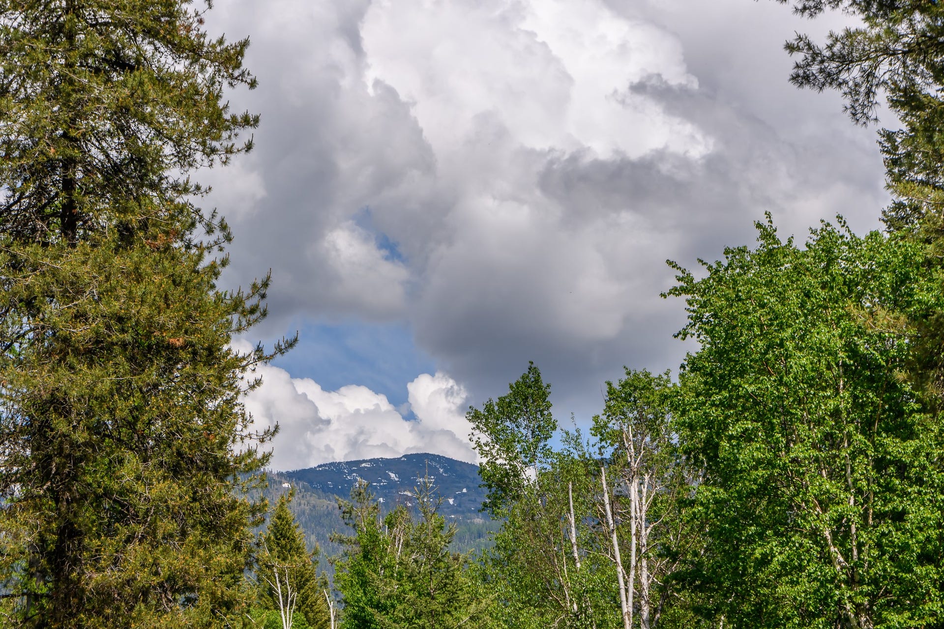 541 Alpine Drive, Bigfork, MT 59911 541 Alpine Drive, Bigfork, MT 59911