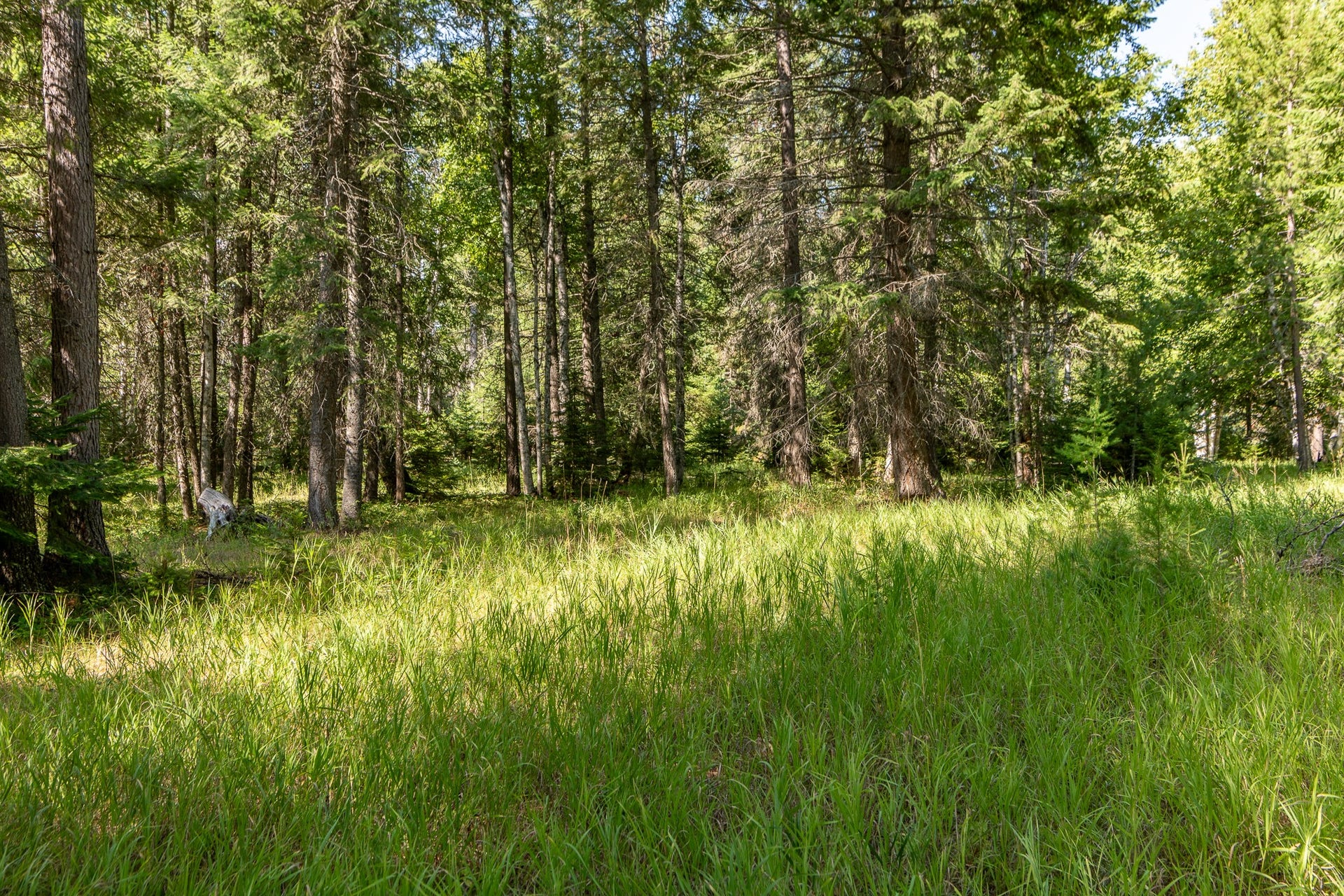541 Alpine Drive, Bigfork, MT 59911 541 Alpine Drive, Bigfork, MT 59911