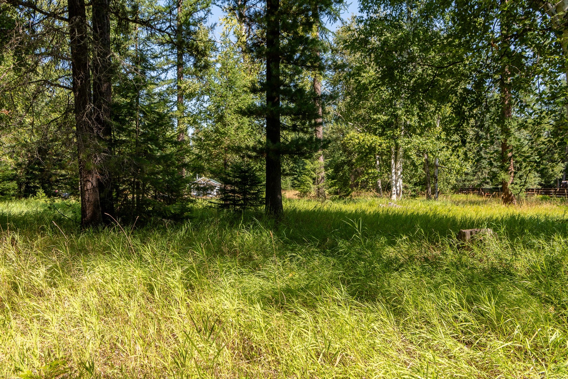 541 Alpine Drive, Bigfork, MT 59911 541 Alpine Drive, Bigfork, MT 59911