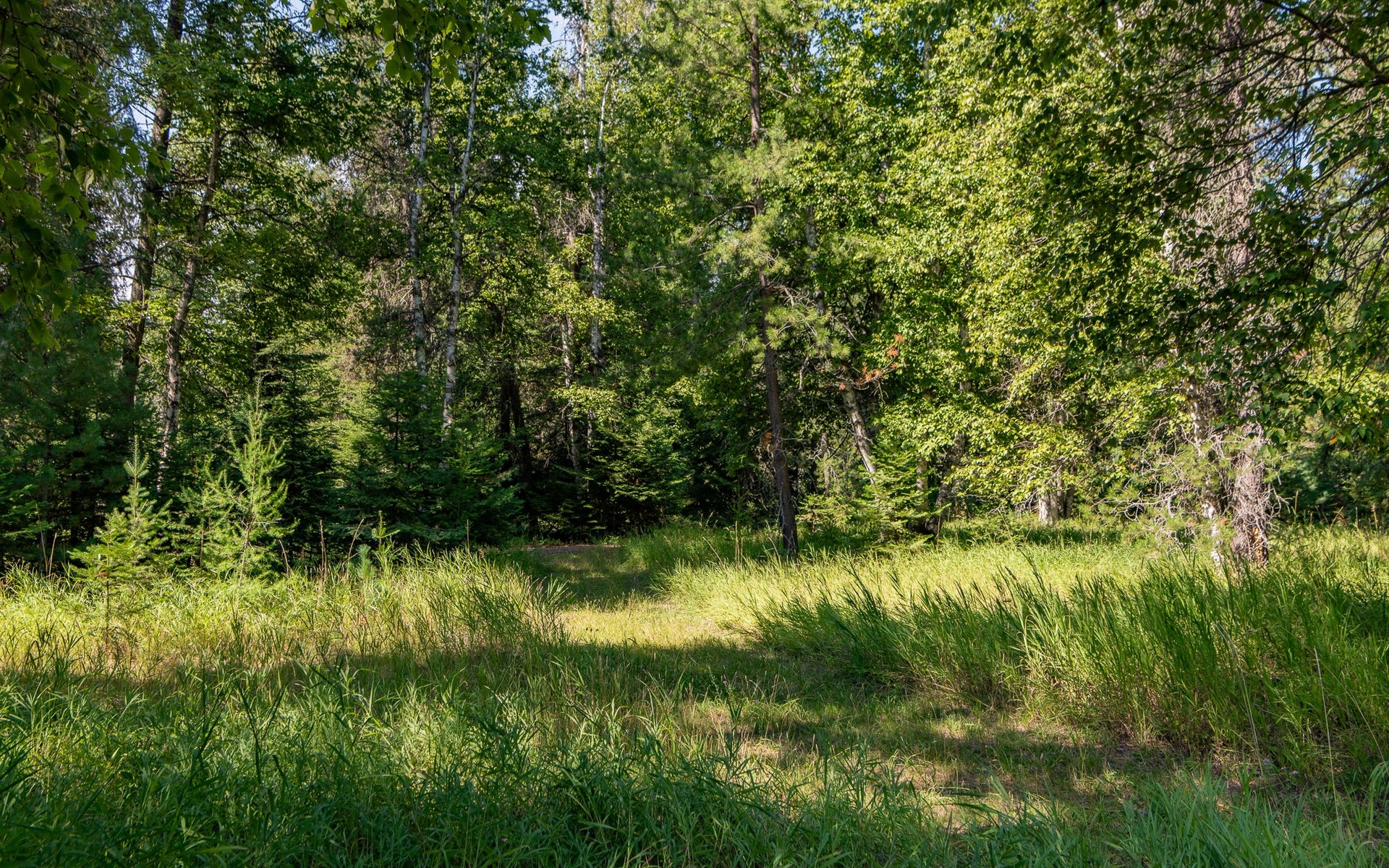 541 Alpine Drive, Bigfork, MT 59911 541 Alpine Drive, Bigfork, MT 59911