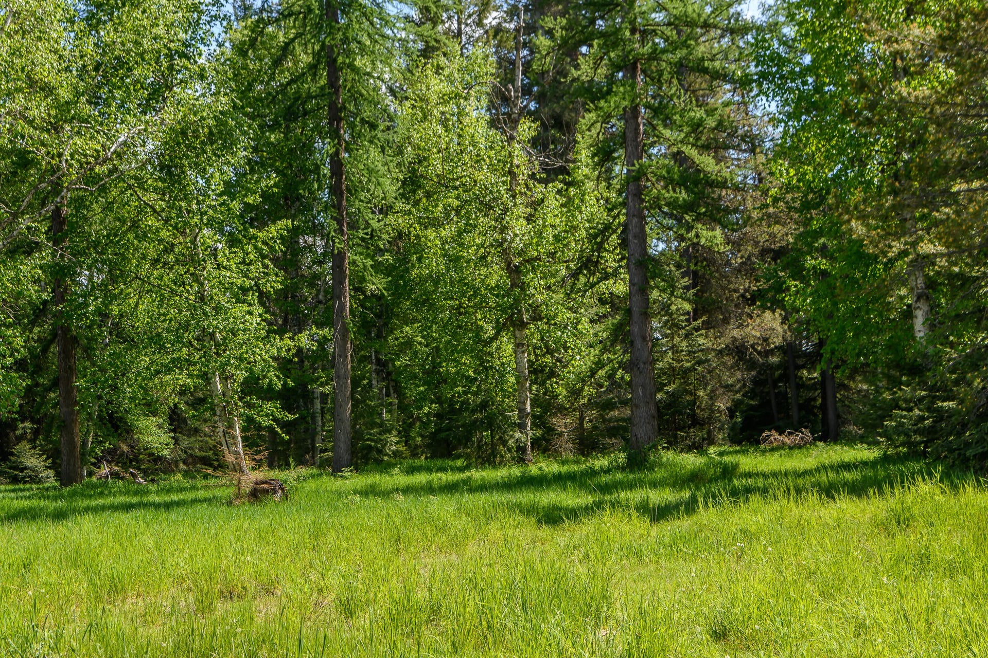 541 Alpine Drive, Bigfork, MT 59911 541 Alpine Drive, Bigfork, MT 59911
