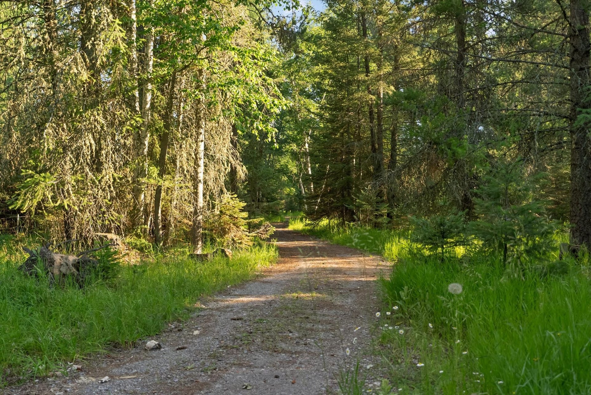 541 Alpine Drive, Bigfork, MT 59911 541 Alpine Drive, Bigfork, MT 59911