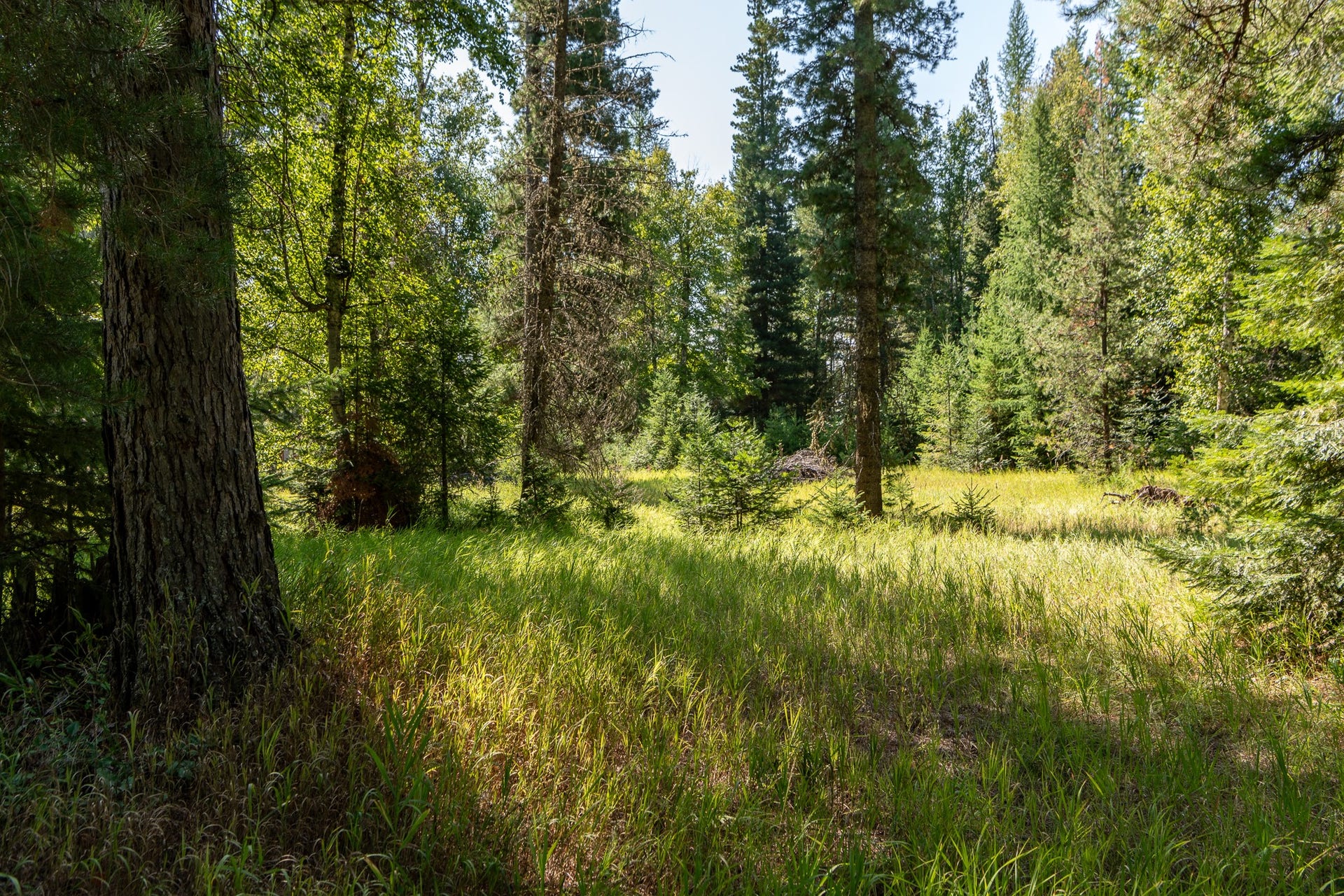 541 Alpine Drive, Bigfork, MT 59911 541 Alpine Drive, Bigfork, MT 59911