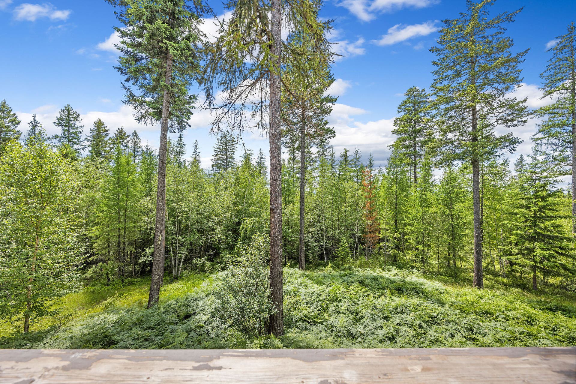 70 Big Cedar, Bigfork, MT 59911 70 Big Cedar, Bigfork, MT 59911