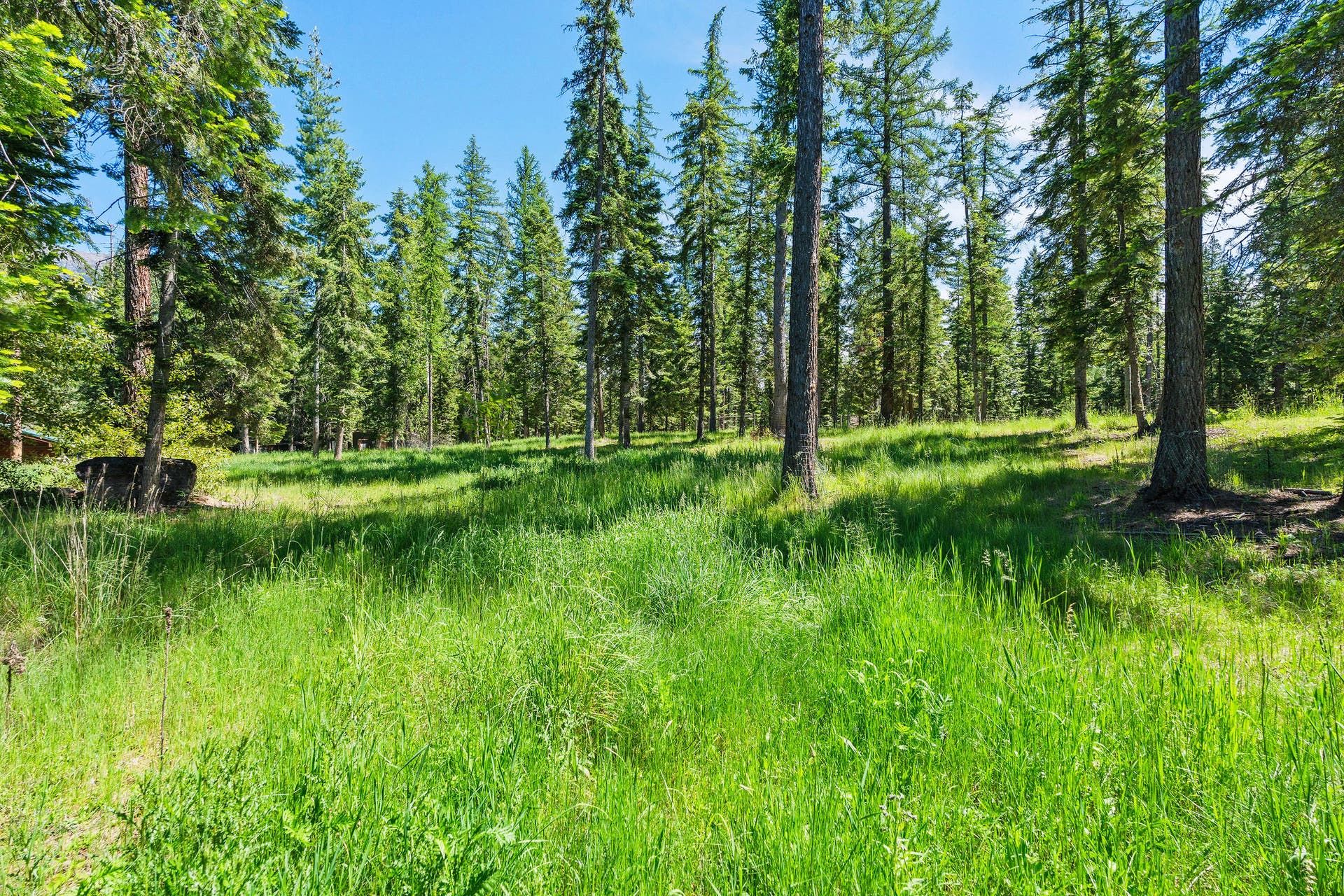 500 Wild Swan Trail, Bigfork, MT 59911 Rolling meadows