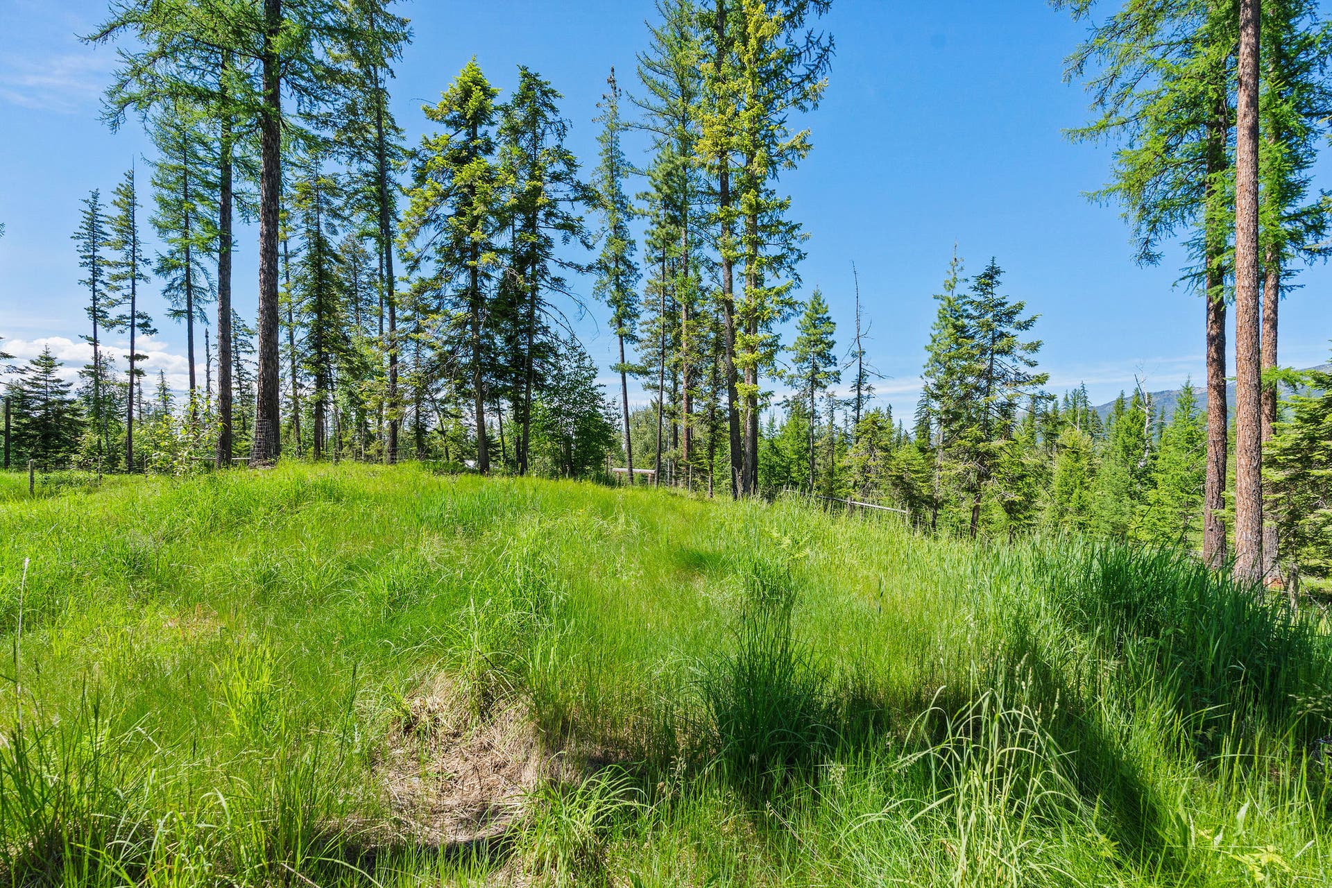 500 Wild Swan Trail, Bigfork, MT 59911 500 Wild Swan Trail, Bigfork, MT 59911