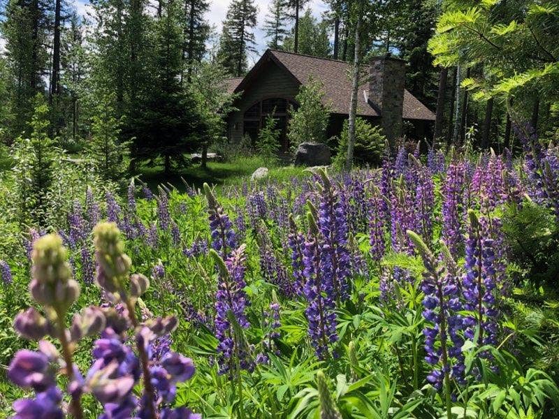 500 Wild Swan Trail, Bigfork, MT 59911 Home 2 Exterior