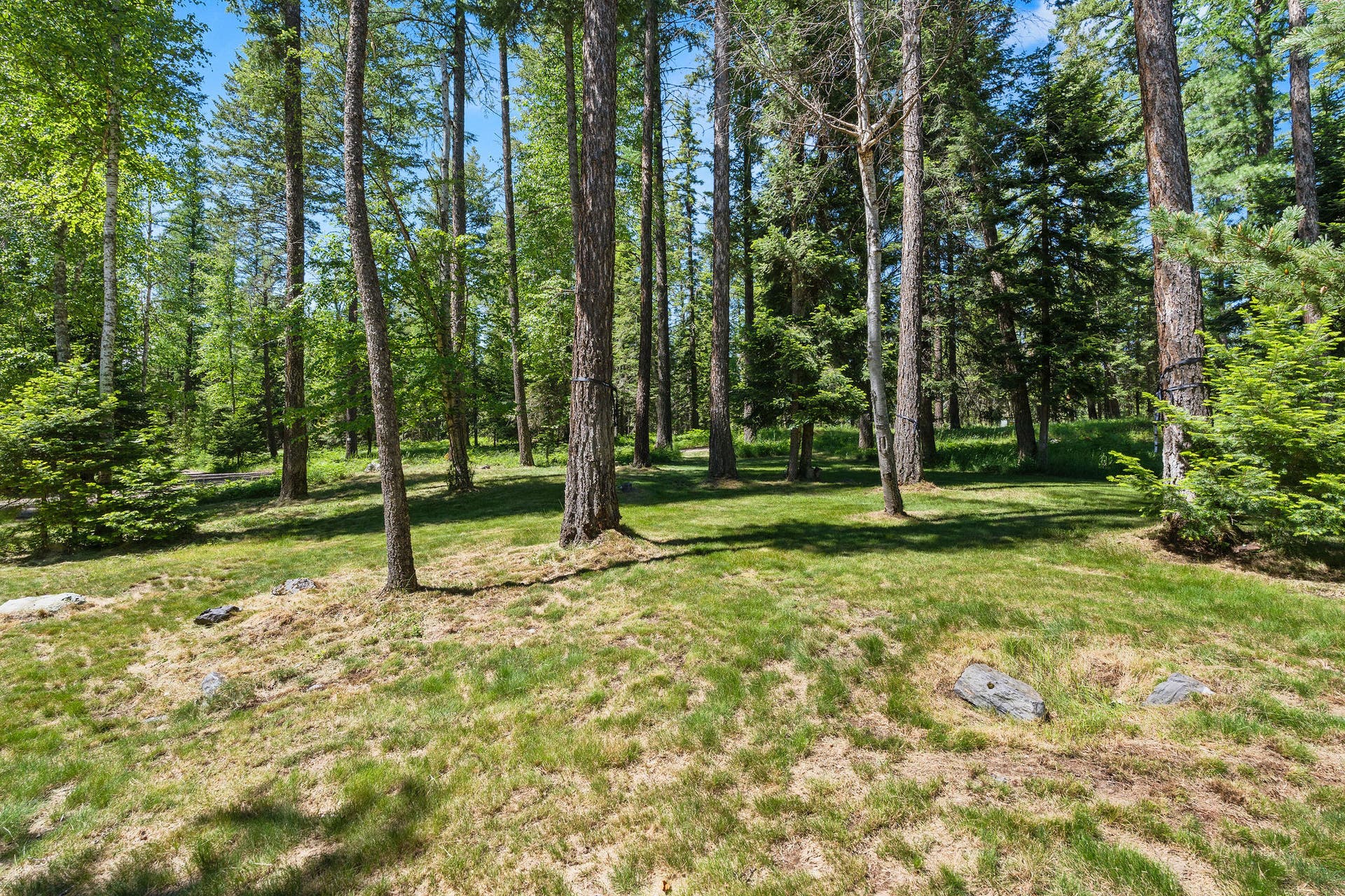 500 Wild Swan Trail, Bigfork, MT 59911 500 Wild Swan Trail, Bigfork, MT 59911