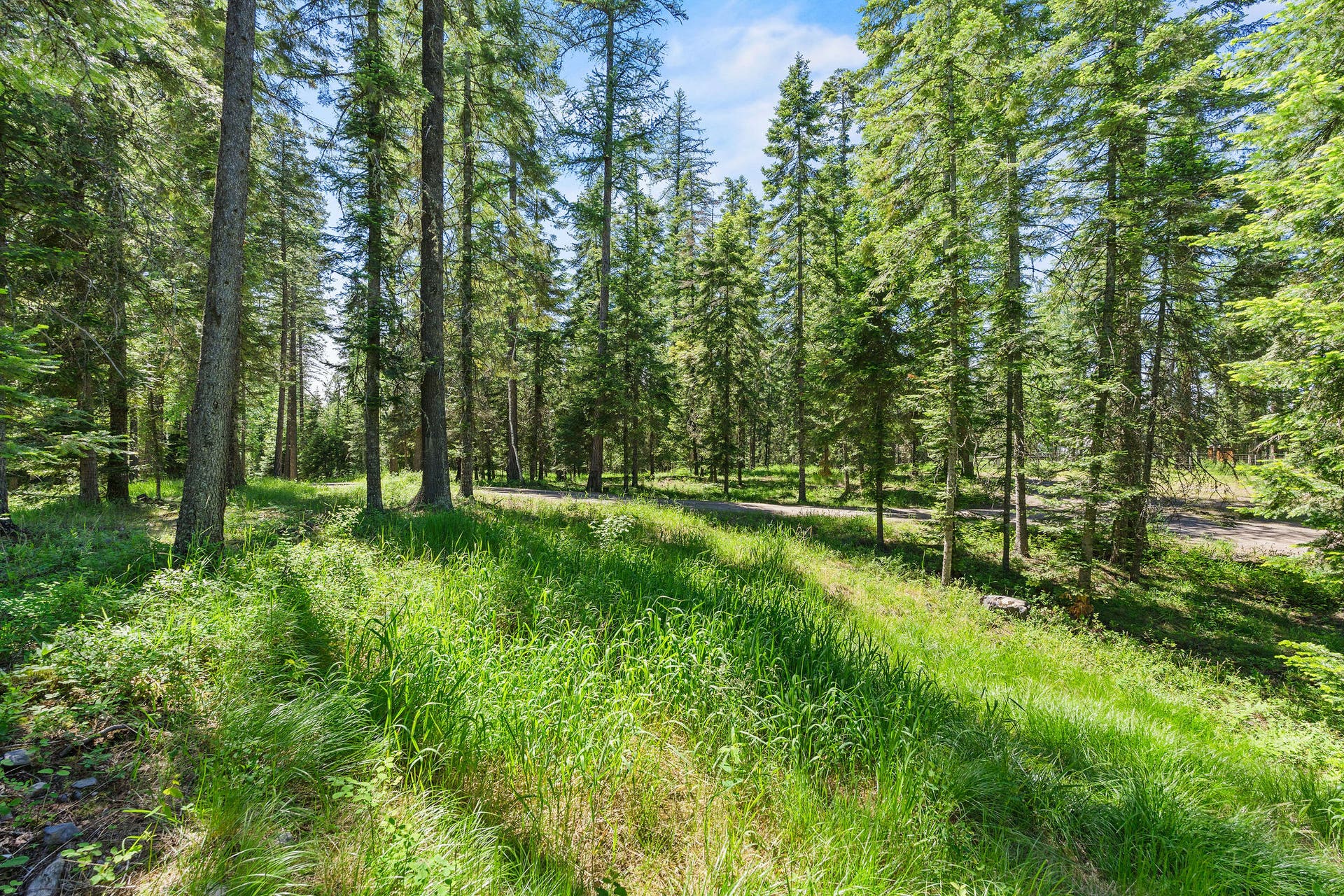 500 Wild Swan Trail, Bigfork, MT 59911 500 Wild Swan Trail, Bigfork, MT 59911