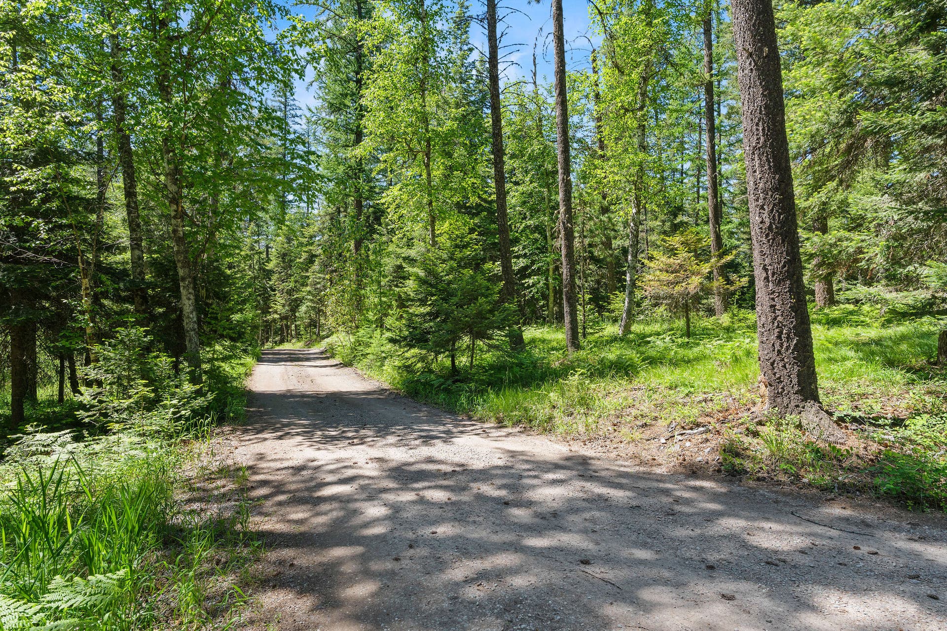 500 Wild Swan Trail, Bigfork, MT 59911 500 Wild Swan Trail, Bigfork, MT 59911