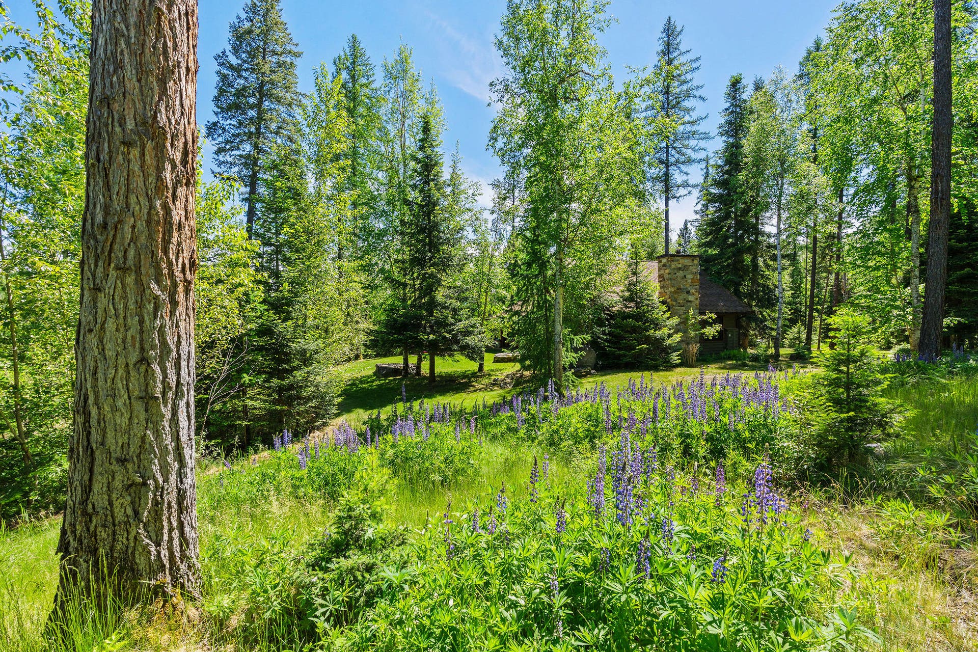 500 Wild Swan Trail, Bigfork, MT 59911 View to 2nd home