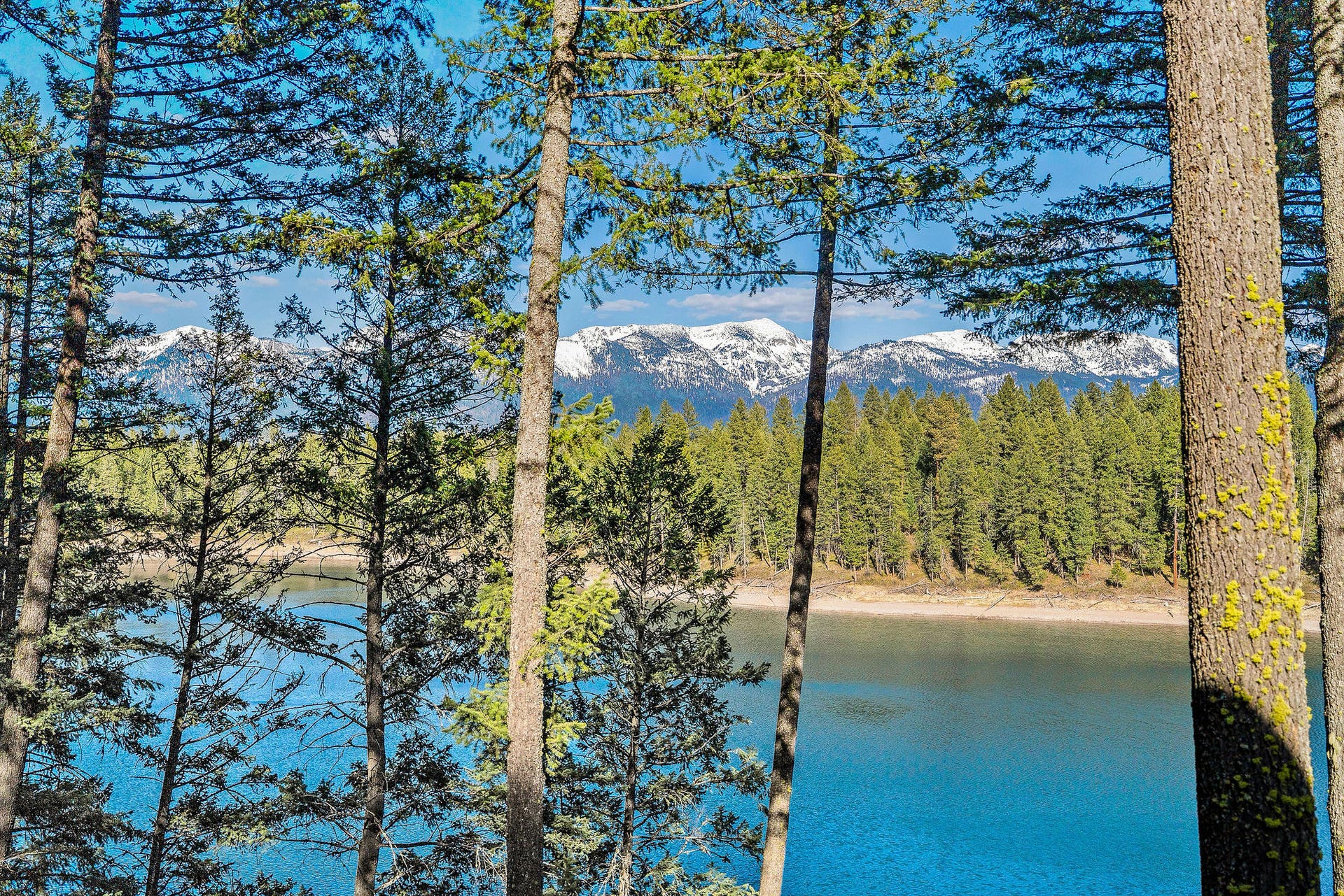 701 McCaffery Road, Bigfork, MT 59911 701 McCaffery Road, Bigfork, MT 59911