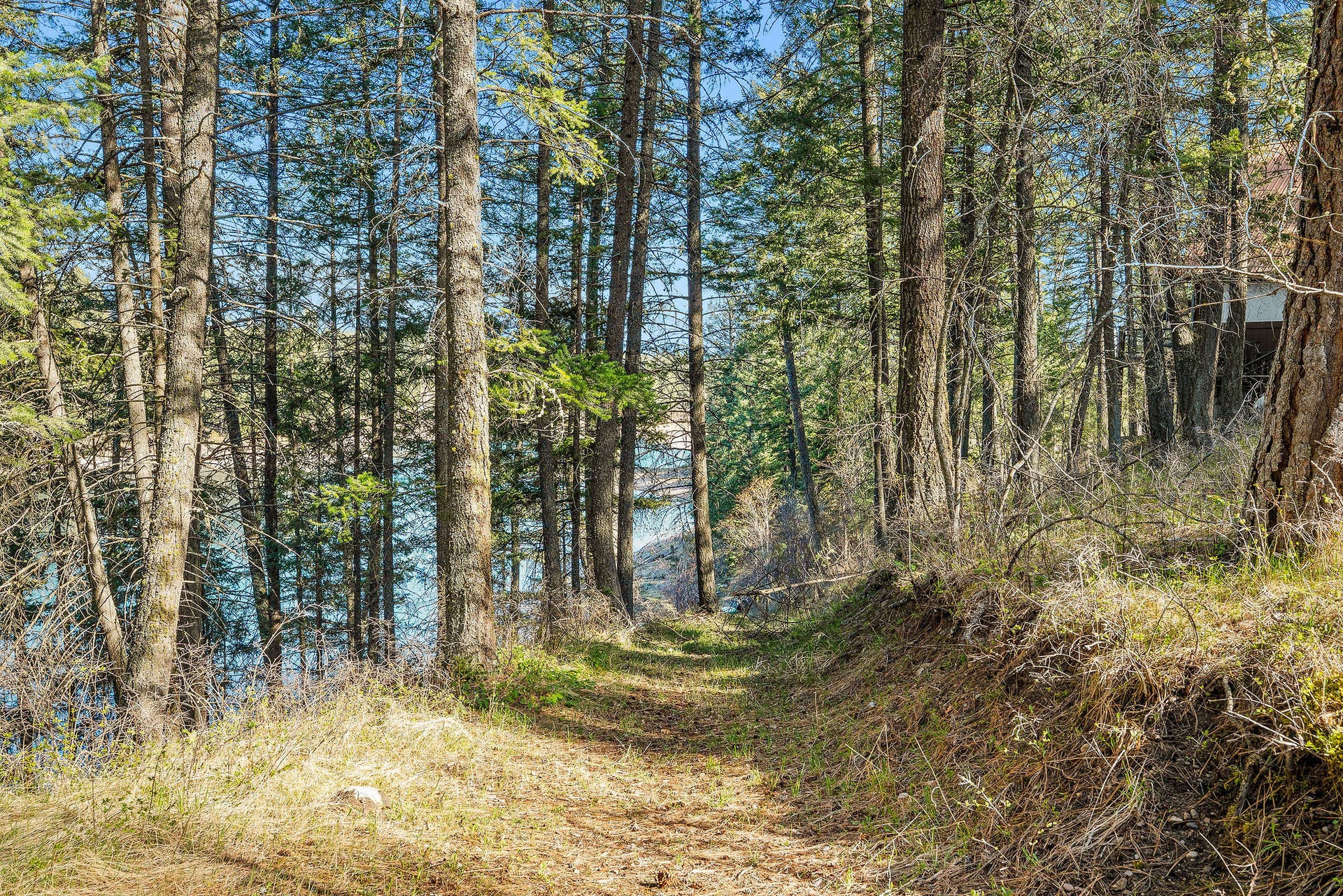 701 McCaffery Road, Bigfork, MT 59911 701 McCaffery Road, Bigfork, MT 59911