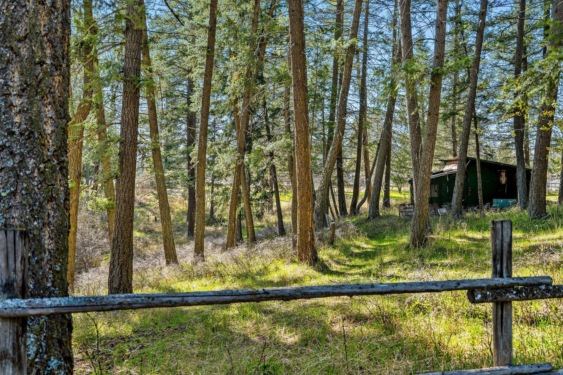 701 McCaffery Road, Bigfork, MT 59911 701 McCaffery Road, Bigfork, MT 59911