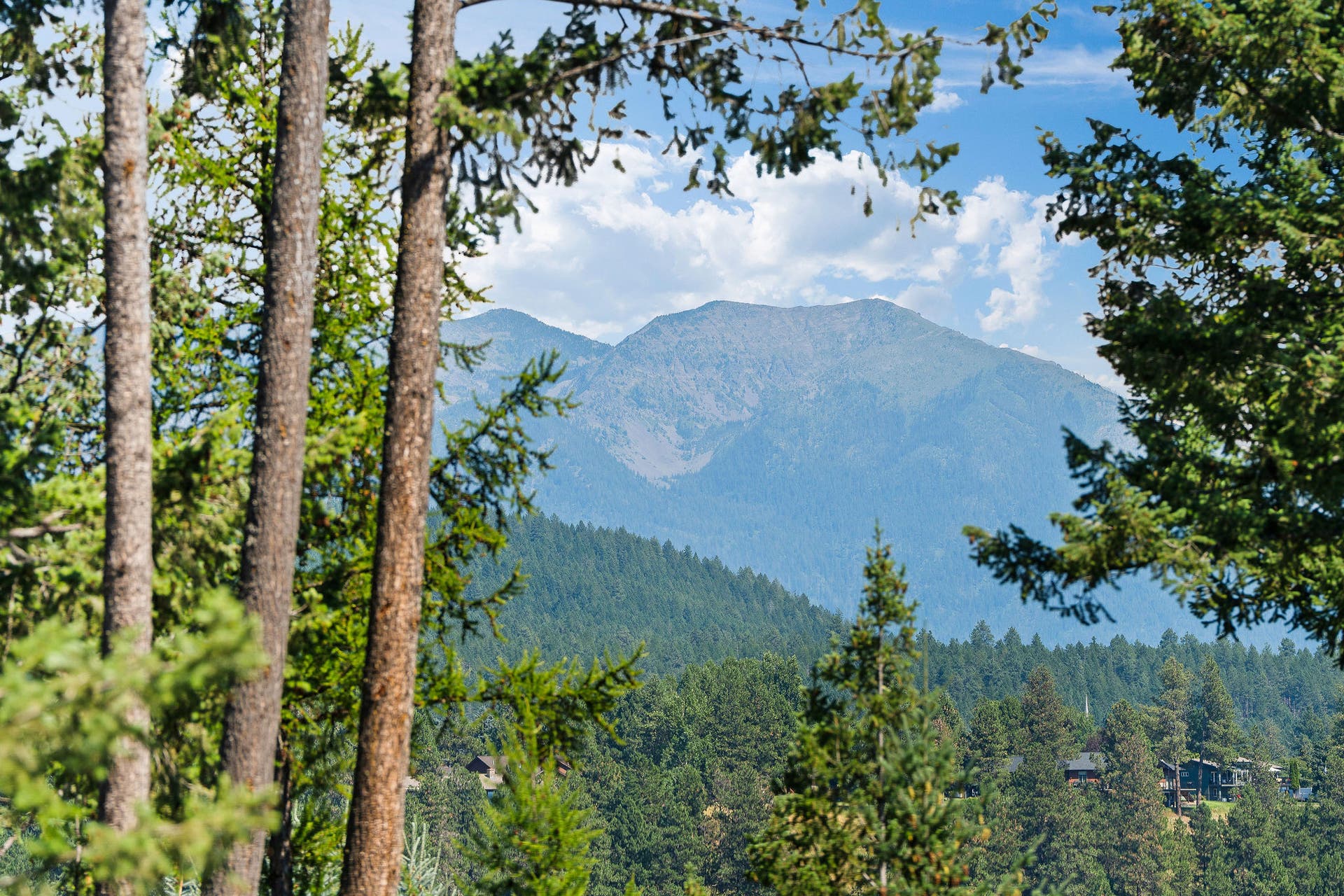 109 Eagle Bend Drive, Bigfork, MT 59911 109 Eagle Bend Drive, Bigfork, MT 59911