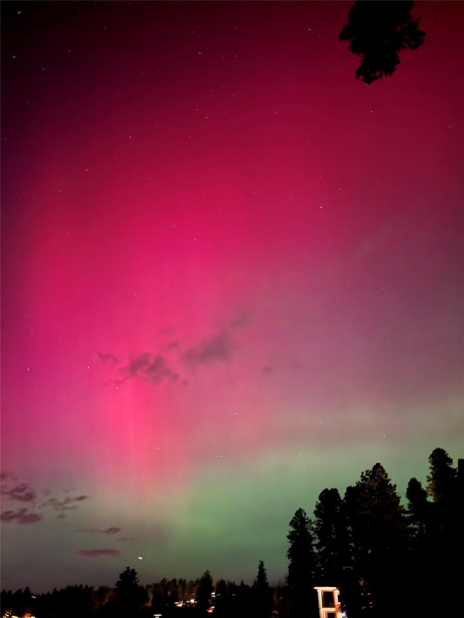 140 Pebble Way, #23, Bigfork, MT 59911 Northern lights