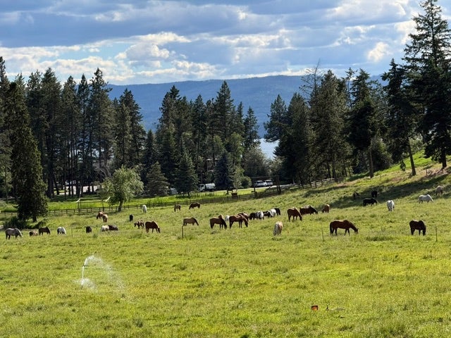 332 Flathead Lodge Road, Bigfork, MT 59911 Bigfork Montana! Embrace your inner western child. This photo was taken just up the road!