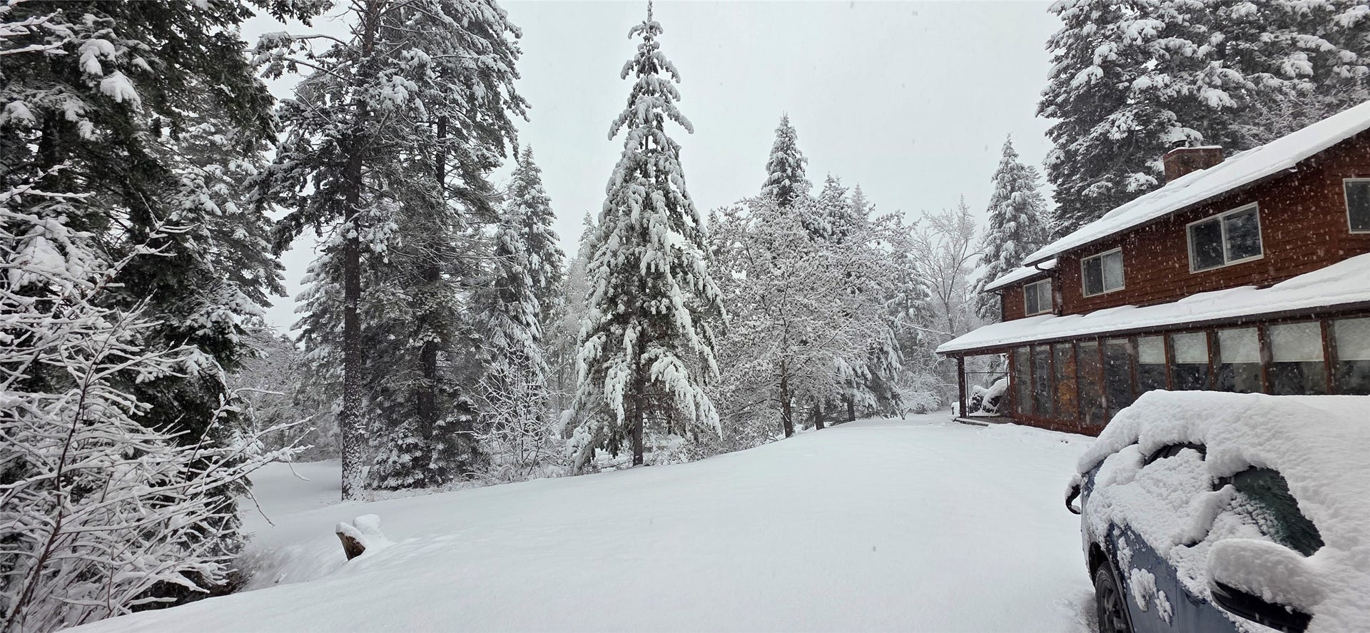 244 Bench Drive, Kalispell, MT 59901 Snow-covered winter landscape and trees on private 3-acre parcel in Kalispell MT.