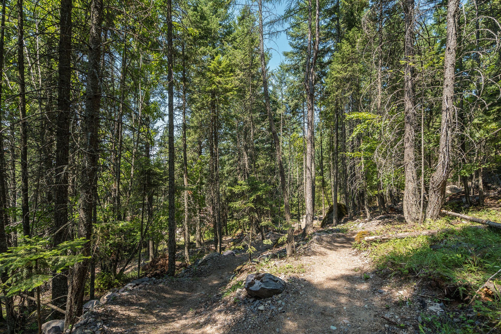 244 Bench Drive, Kalispell, MT 59901 Private mountain bike trail built on 3-acre residential property near Bigfork Montana. Custom-designed machine built private mountain bike trail winding right through the wooded acreage of your backyard. Doubles as a hiking trail for the less adventurous.