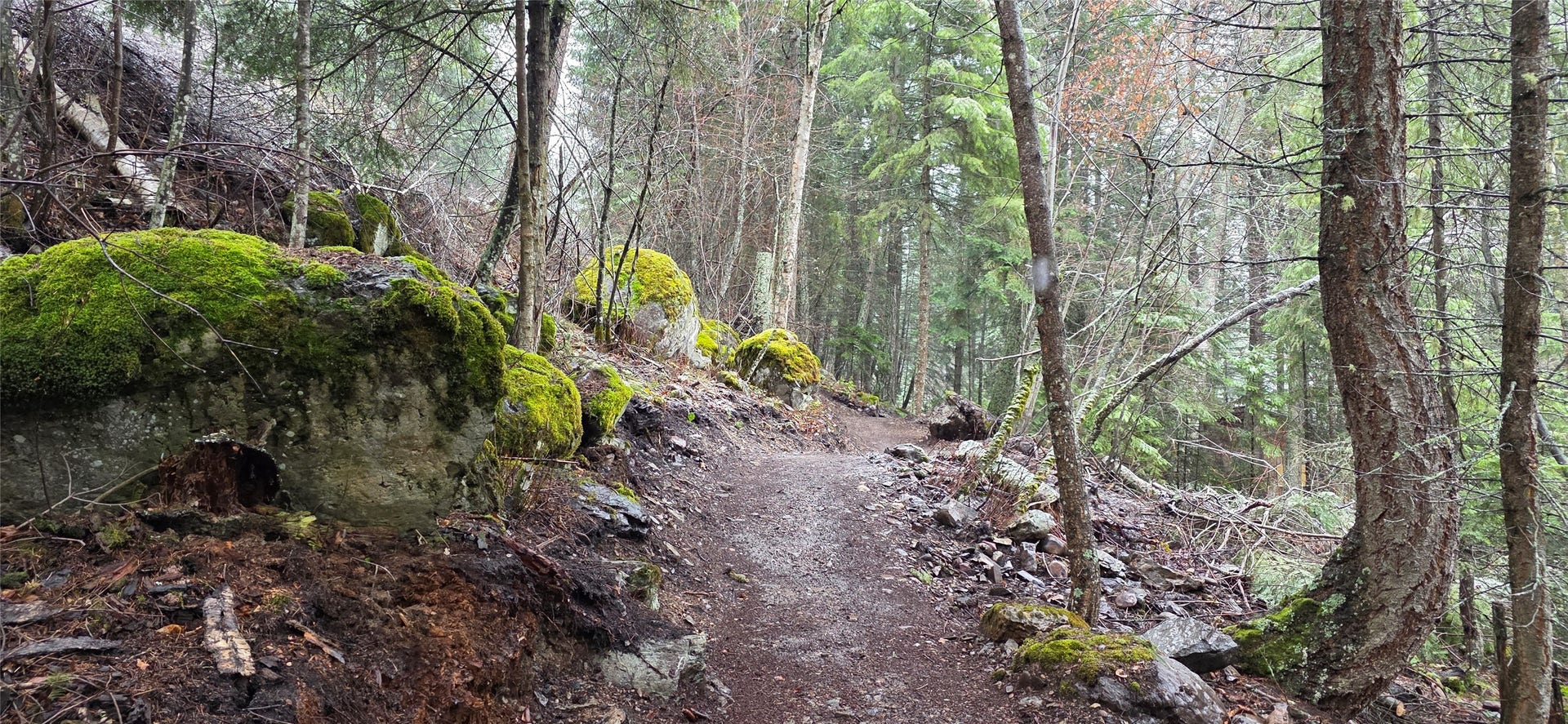 244 Bench Drive, Kalispell, MT 59901 Private mountain bike trail built on 3-acre residential property near Bigfork Montana. Custom-designed machine built private mountain bike trail winding right through the wooded acreage of your backyard. Doubles as a hiking trail for the less adventurous.