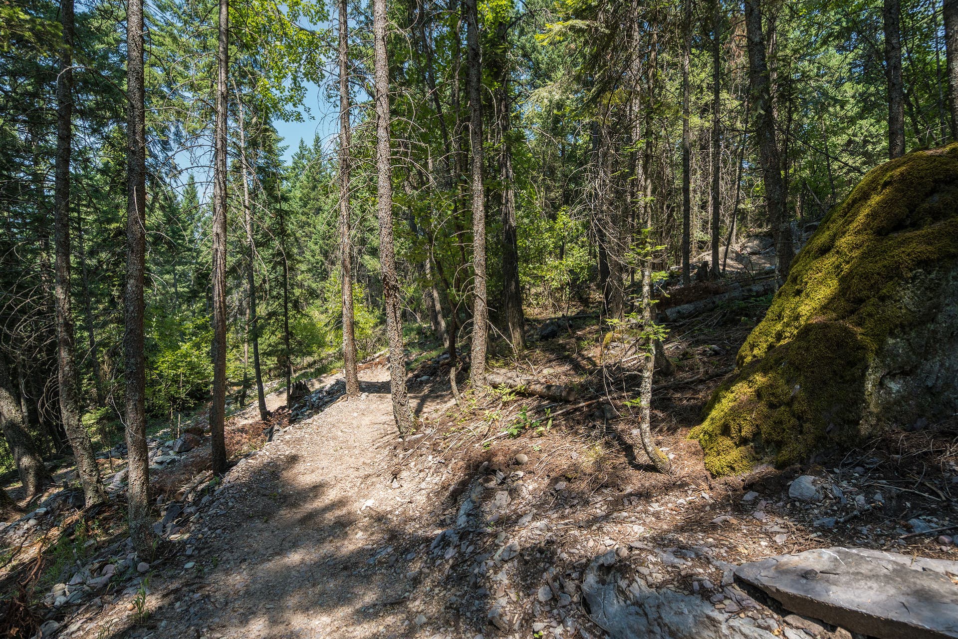 244 Bench Drive, Kalispell, MT 59901 Private mountain bike trail built on 3-acre residential property near Bigfork Montana. Custom-designed machine built private mountain bike trail winding right through the wooded acreage of your backyard. Doubles as a hiking trail for the less adventurous.