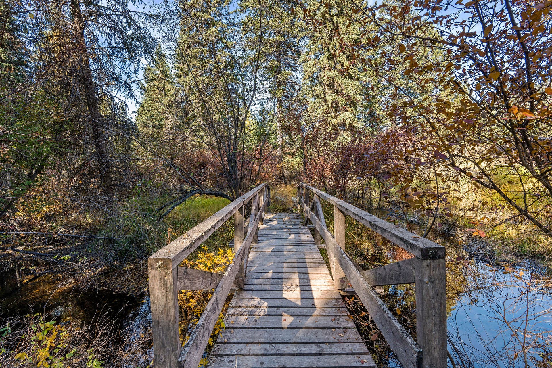 1230 Truman Creek Road, Kila, MT 59920 Bridge over Truman Creek
