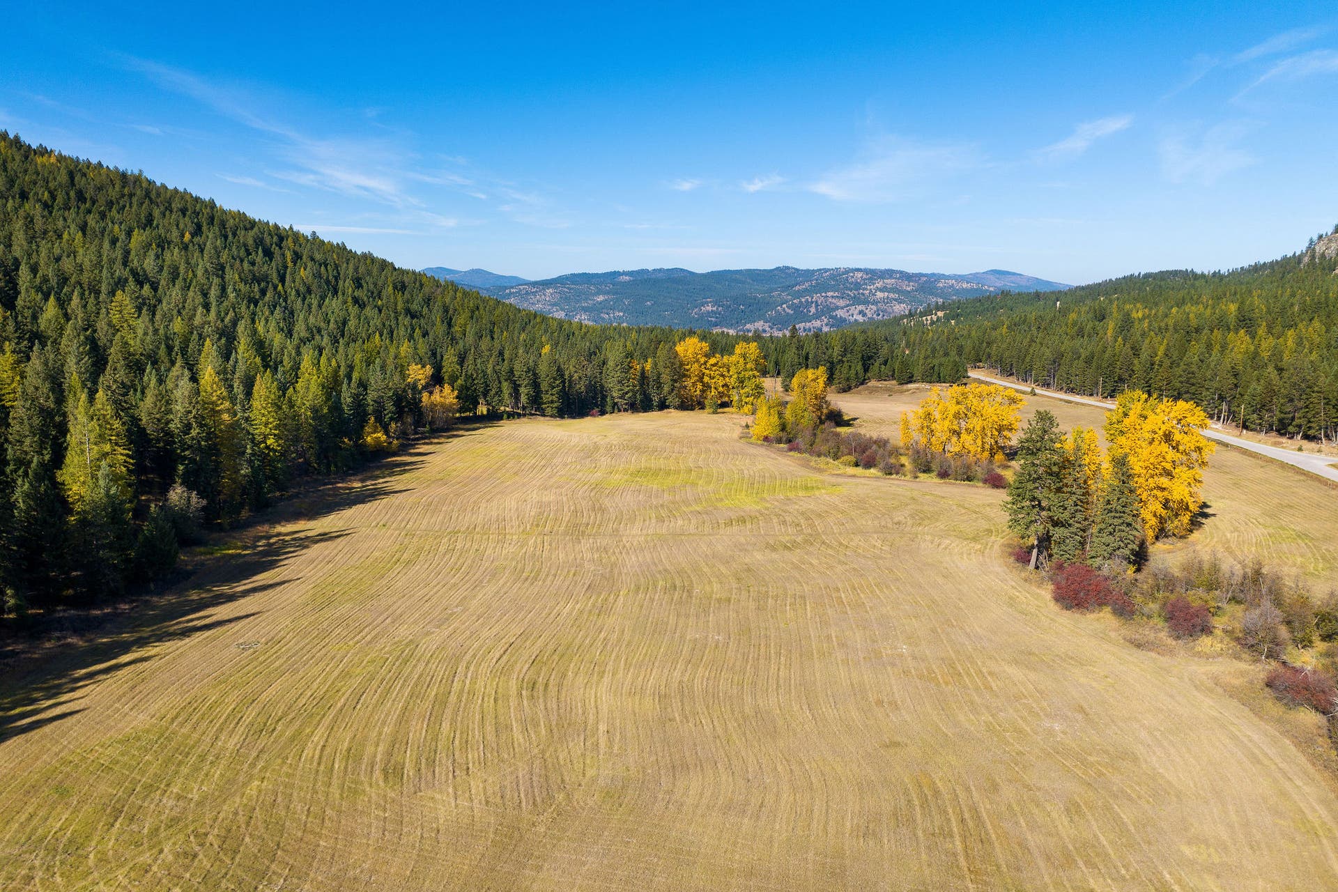 1230 Truman Creek Road, Kila, MT 59920 Pasture