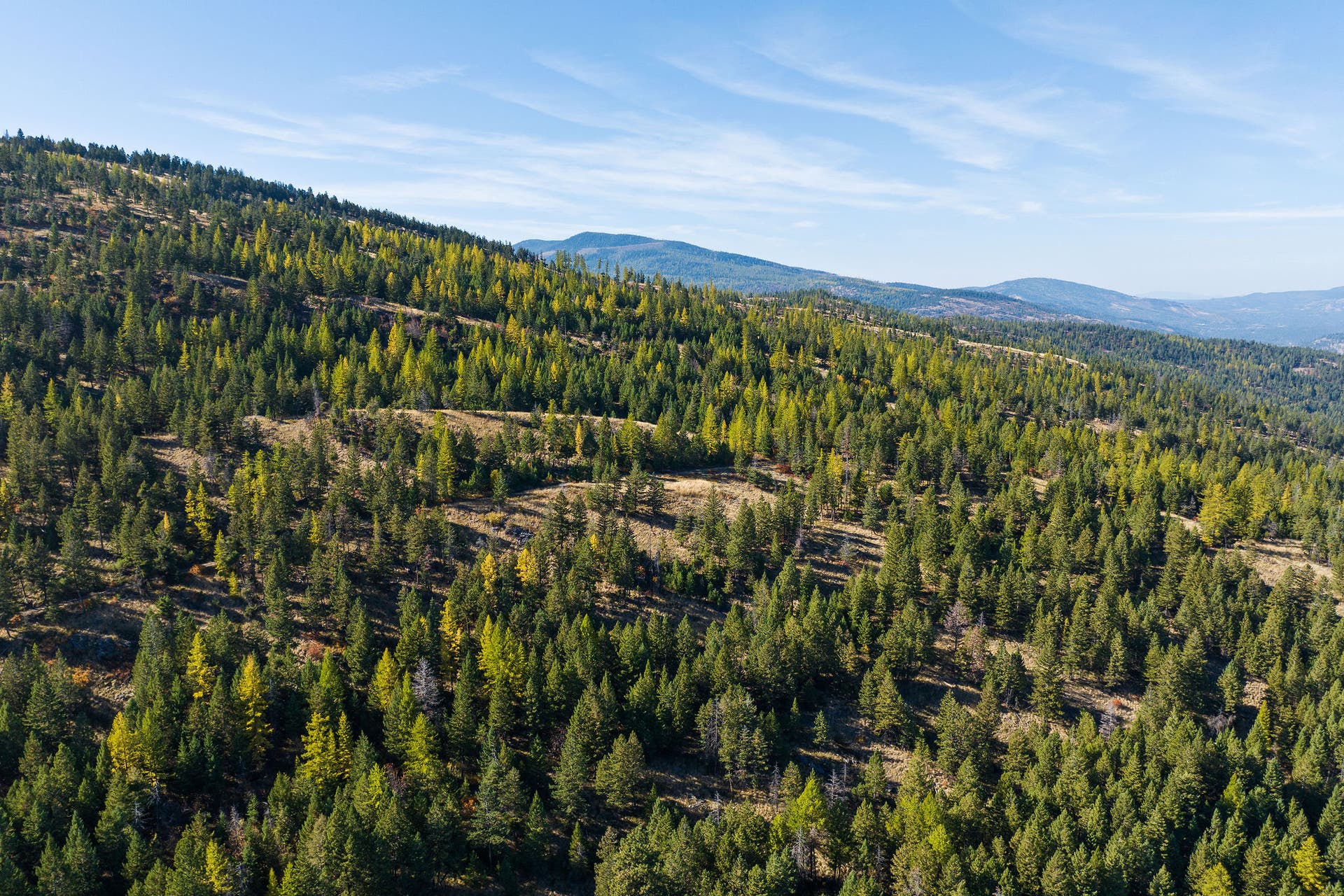 1230 Truman Creek Road, Kila, MT 59920 Aerial of Property